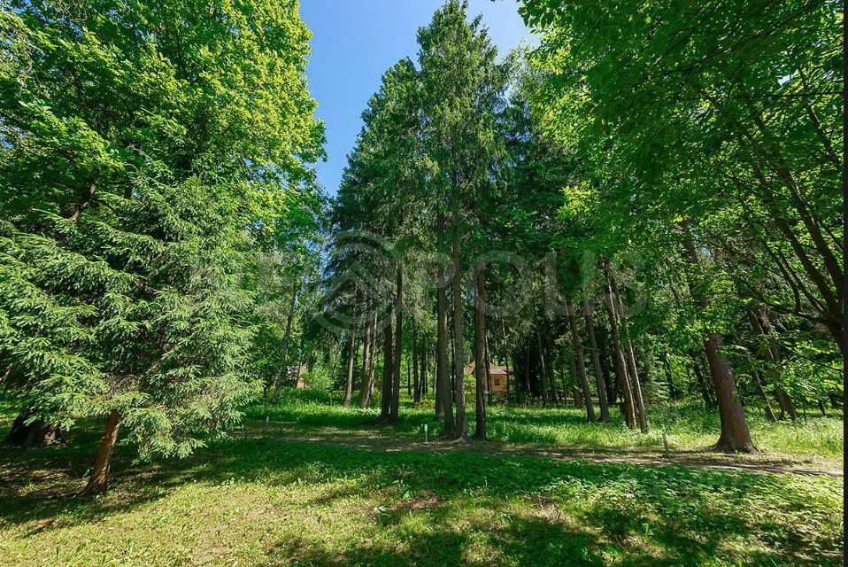 Классический особняк с оранжереей, фото 10