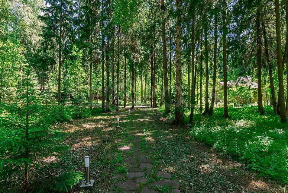 Классический особняк с оранжереей, фото 8