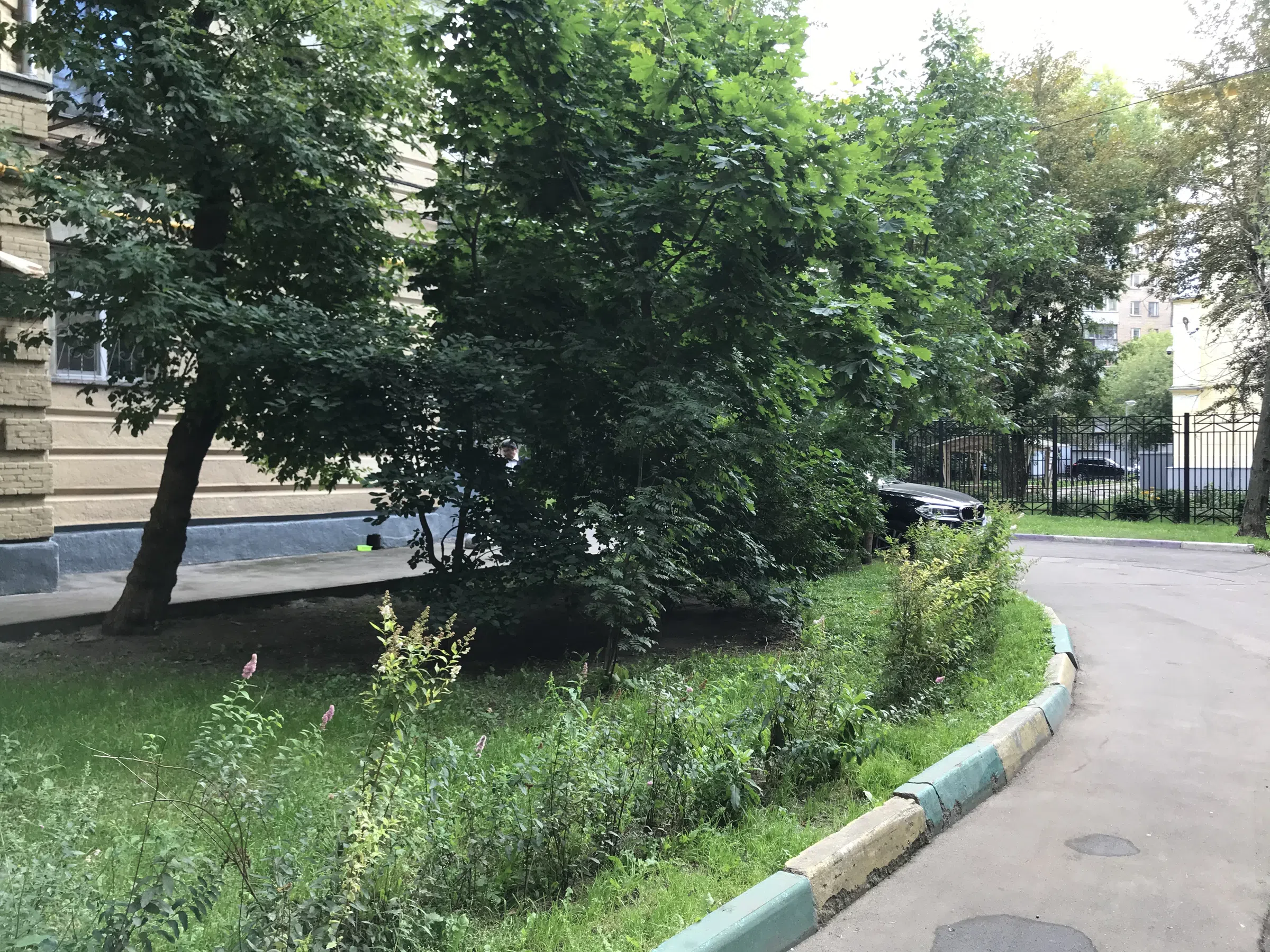 Желтая сталинка во дворе, фото 9
