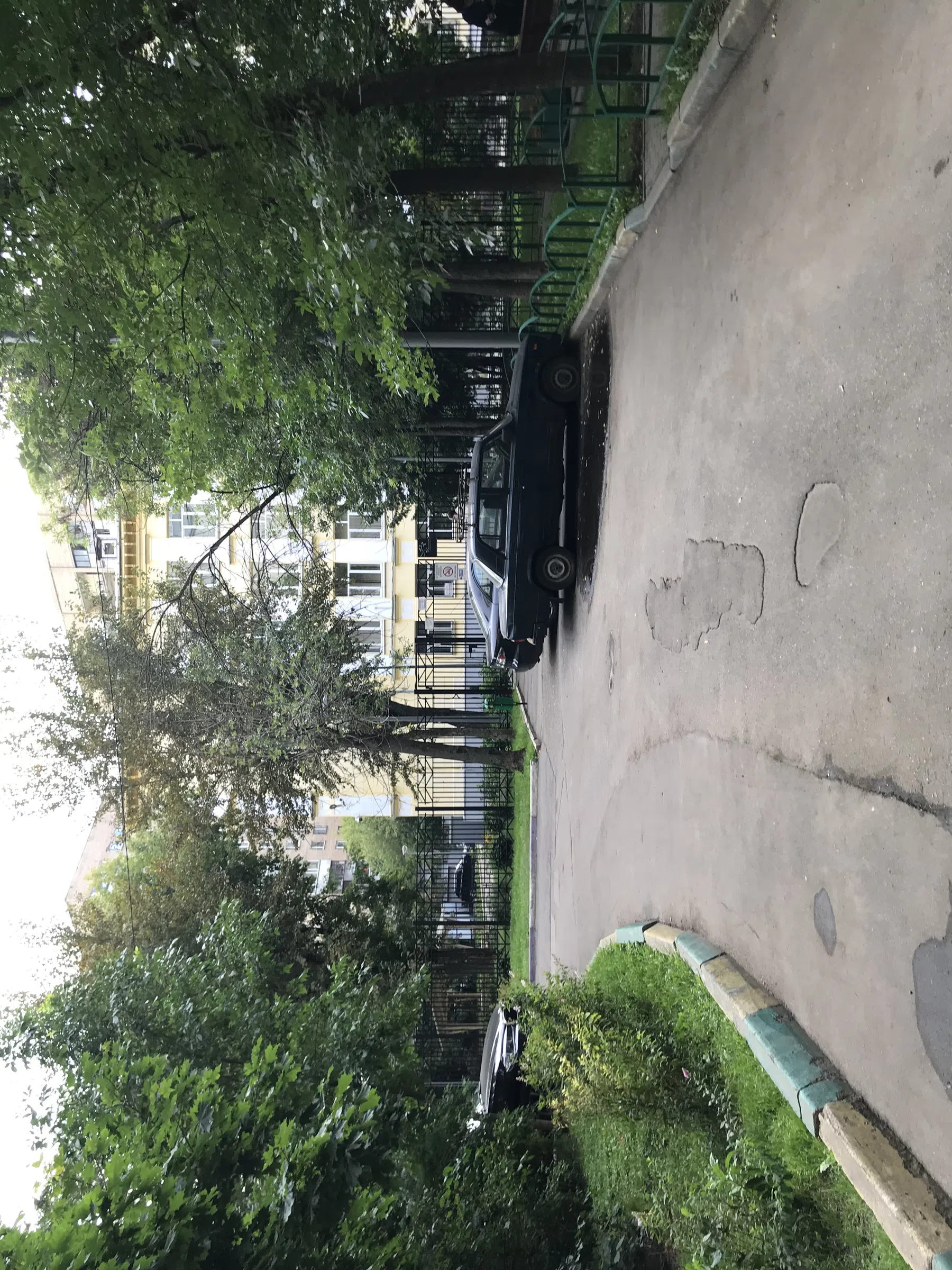 Желтая сталинка во дворе, фото 8