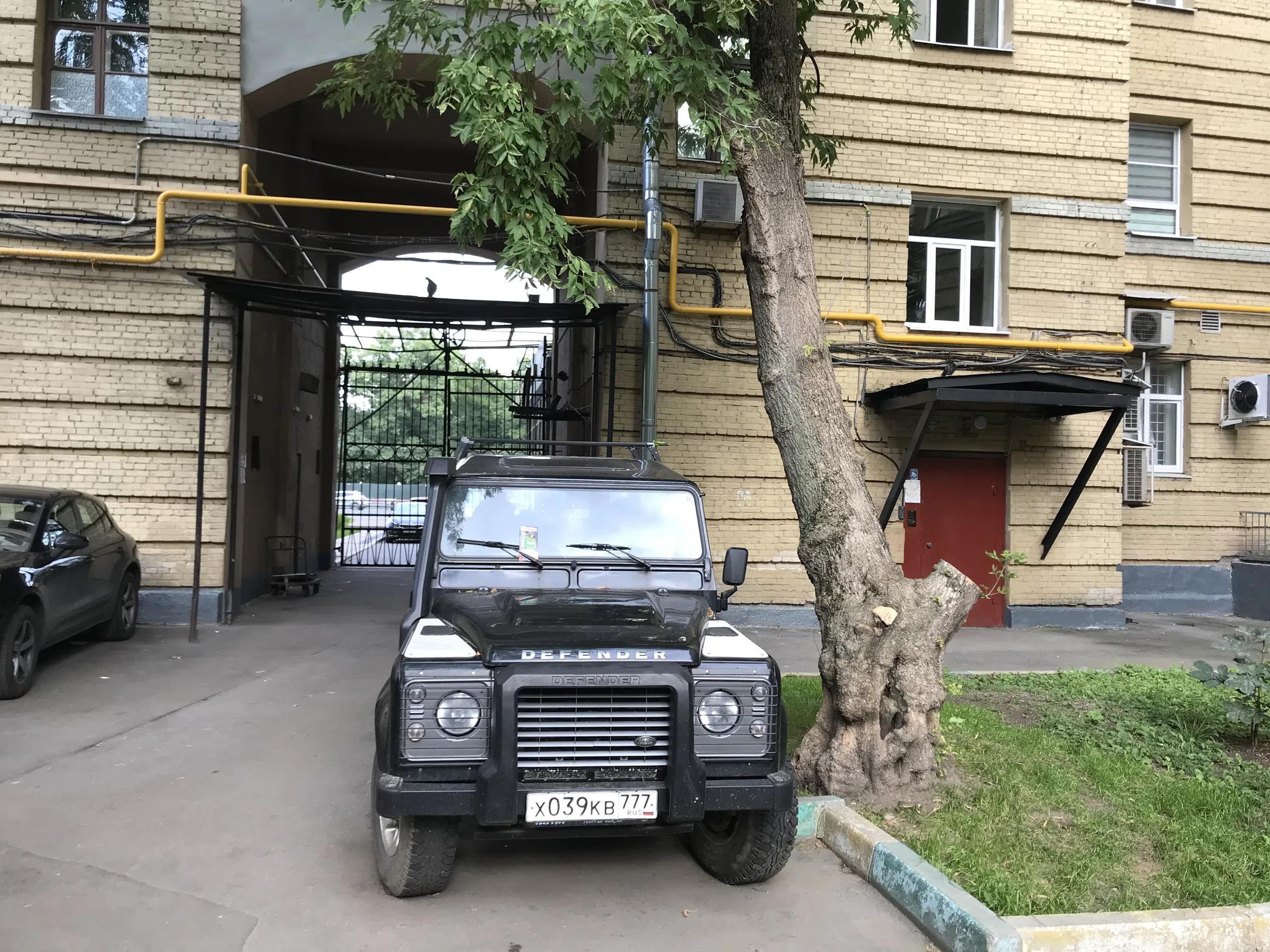 Желтая сталинка во дворе, фото 7