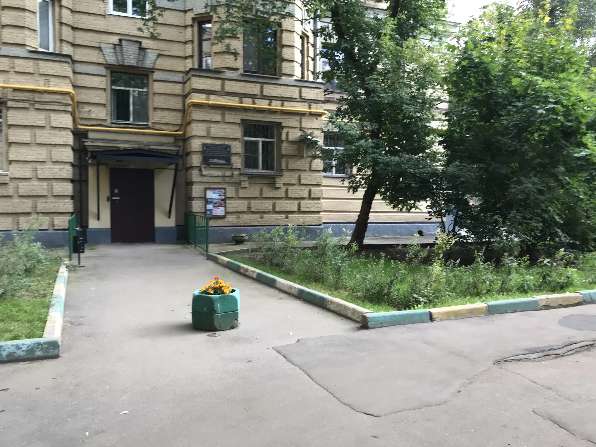Желтая сталинка во дворе, фото 3