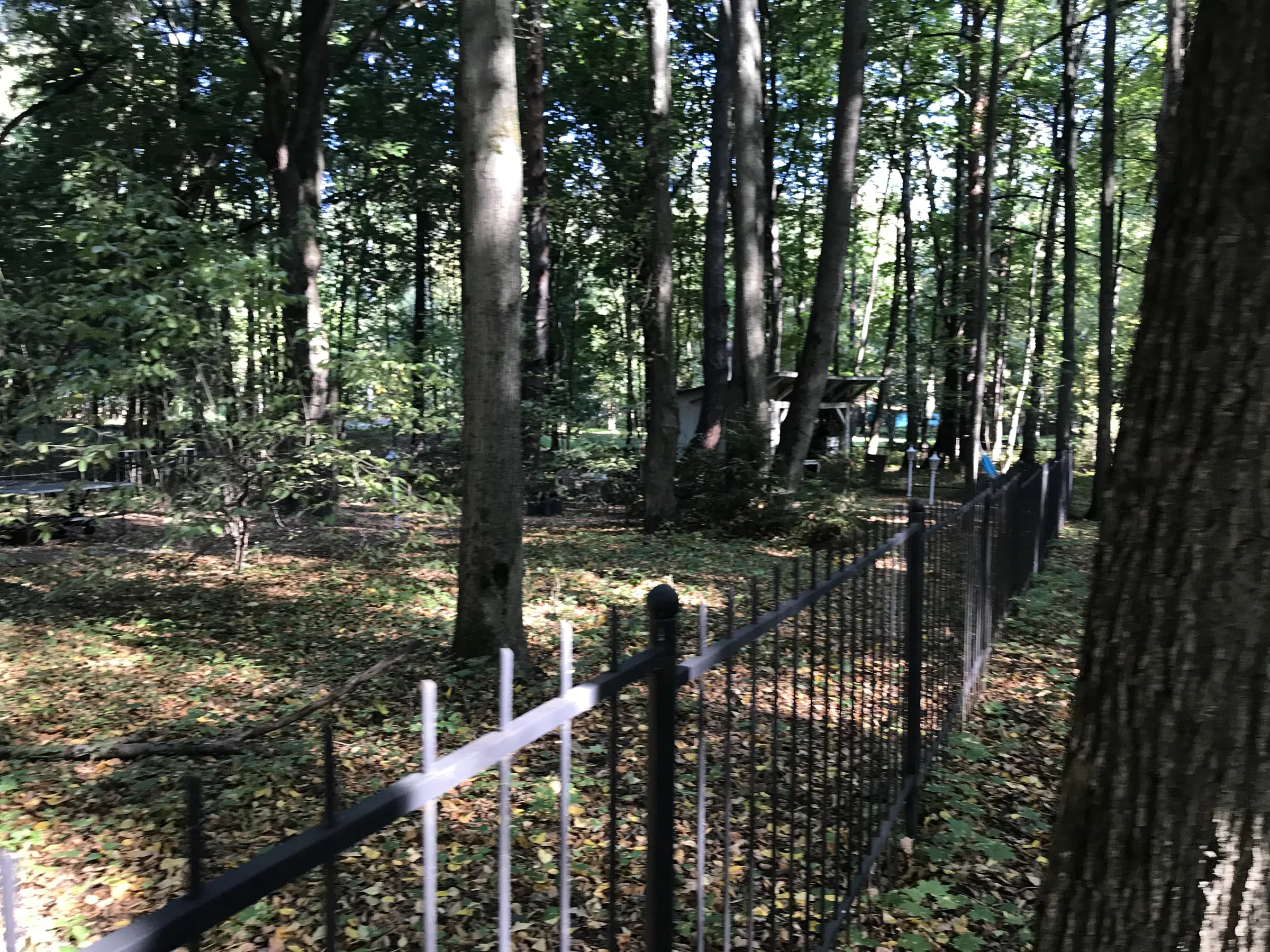 Бирюзовая усадьба в парке, фото 24