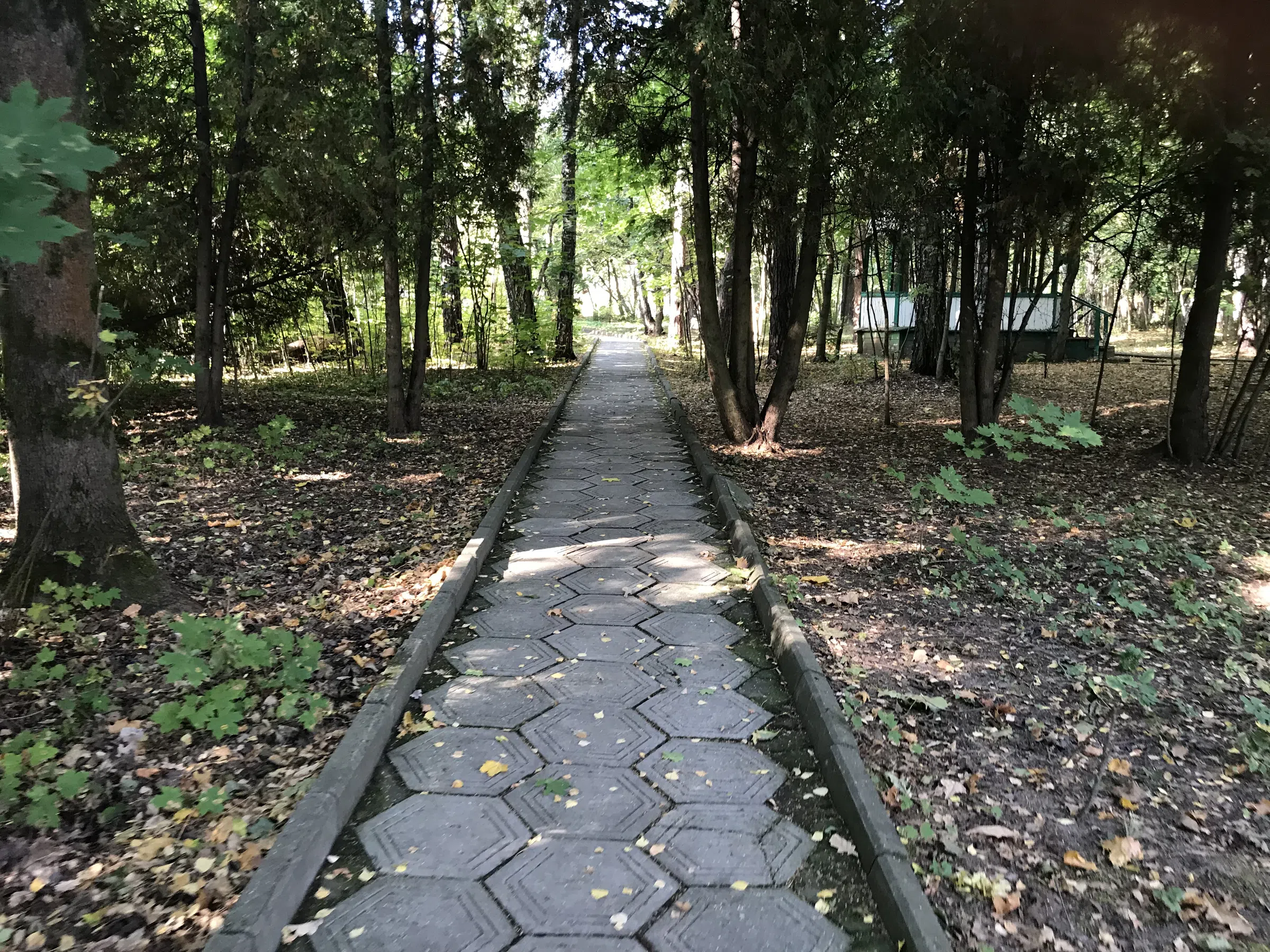 Бирюзовая усадьба в парке, фото 18