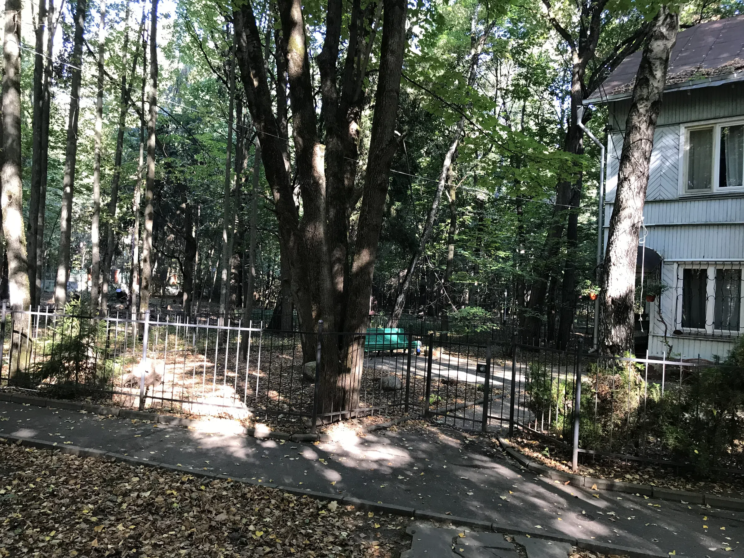 Бирюзовая усадьба в парке, фото 21