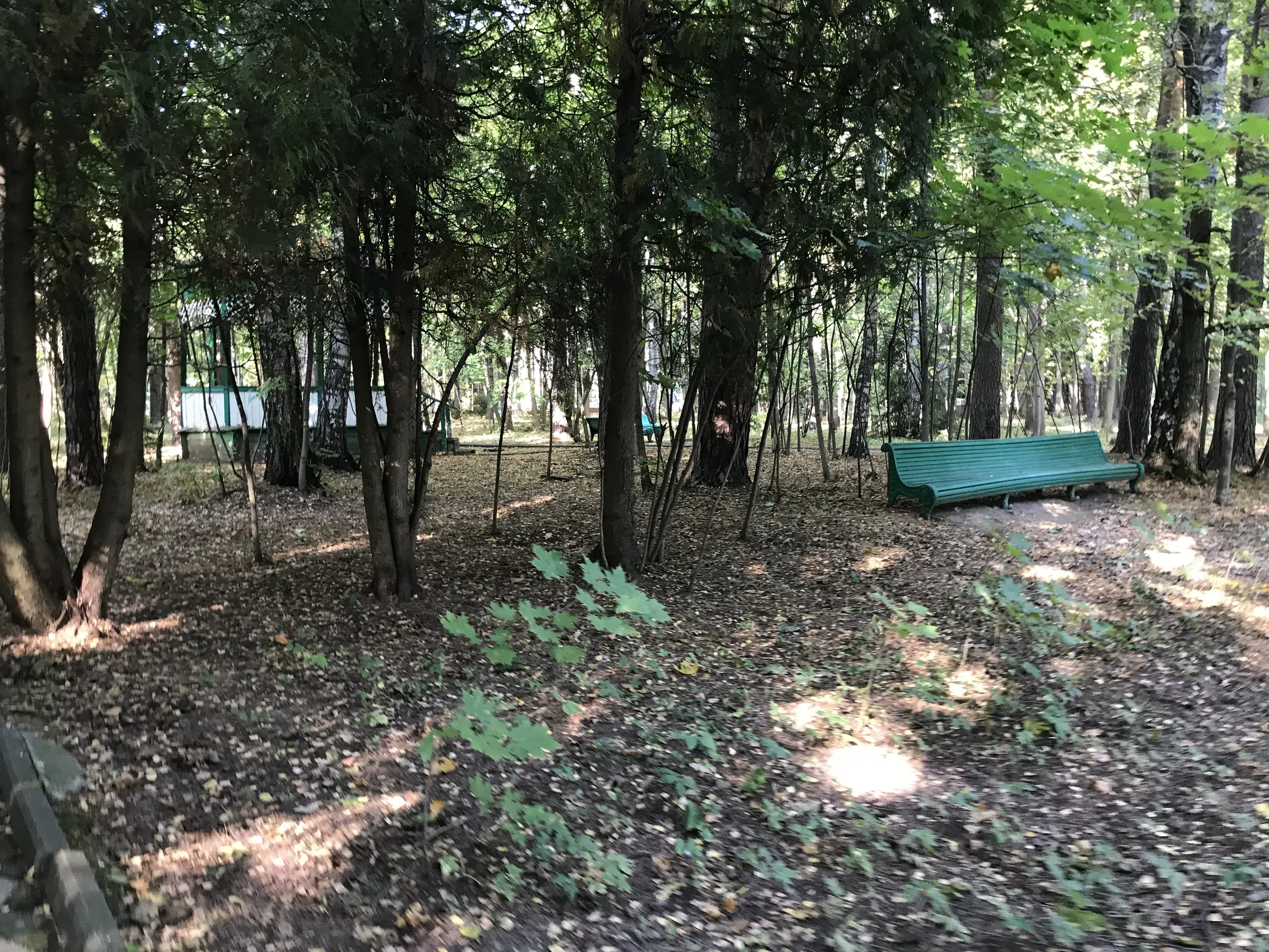 Бирюзовая усадьба в парке, фото 19