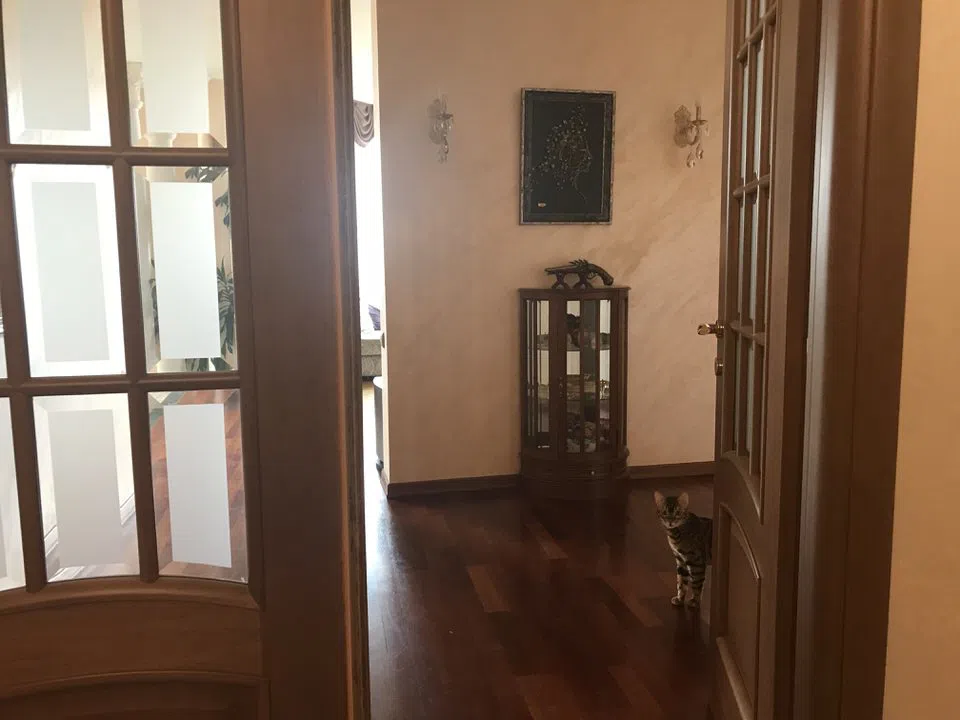 Классическая квартира с лоджиями, фото 6