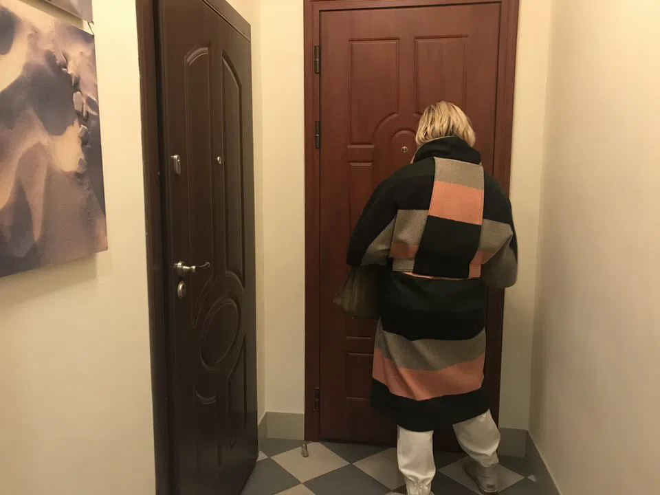 Эркер с сеткой, фото 2