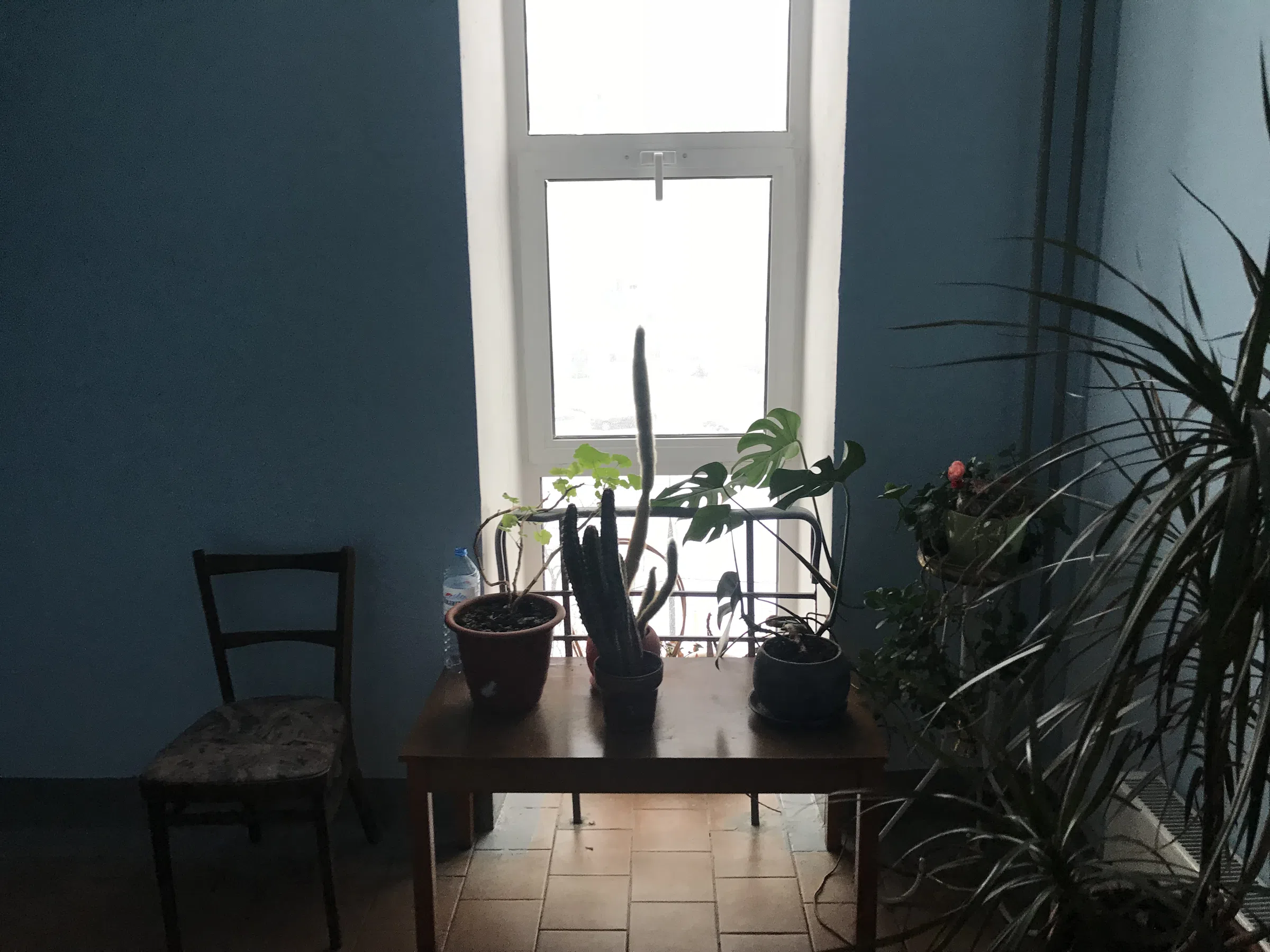 Панельная квартира на этаже, фото 6