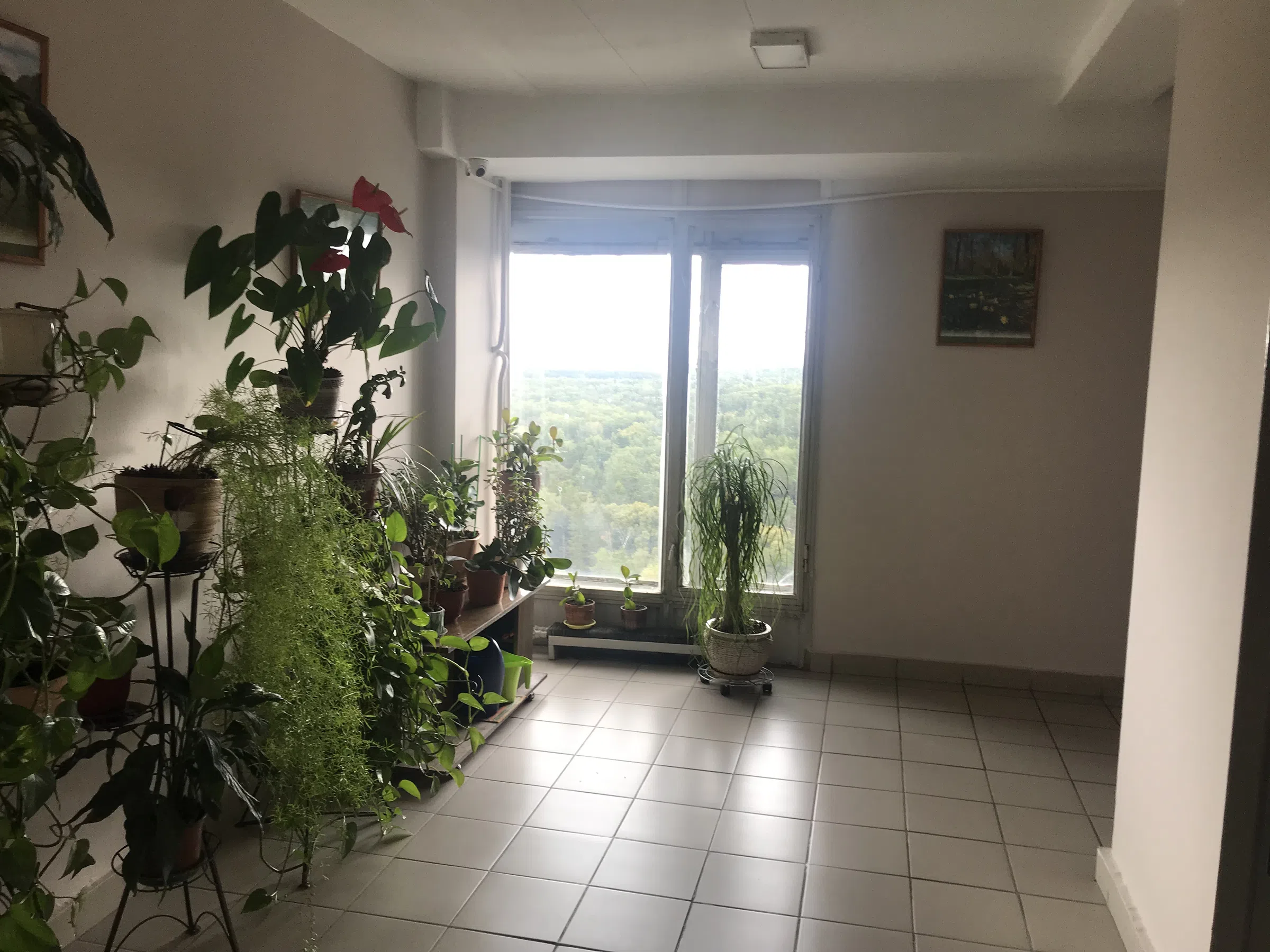 Квартира с балконом, фото 1