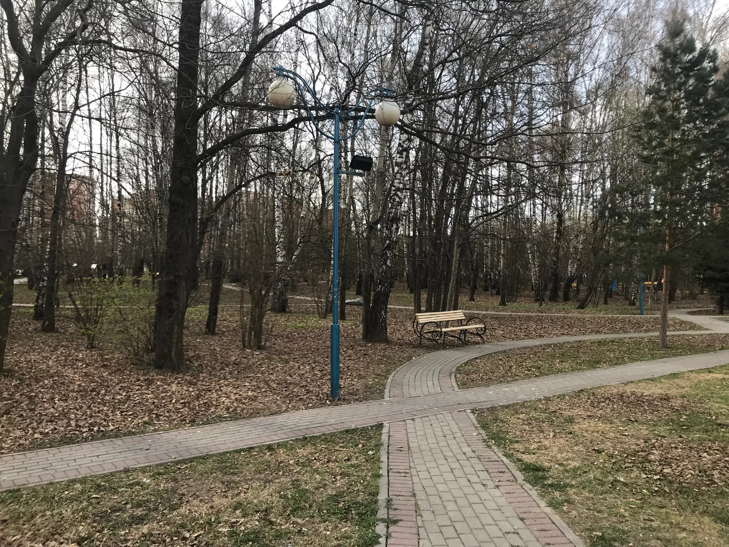 Квартира с эркером и лесом, фото 21