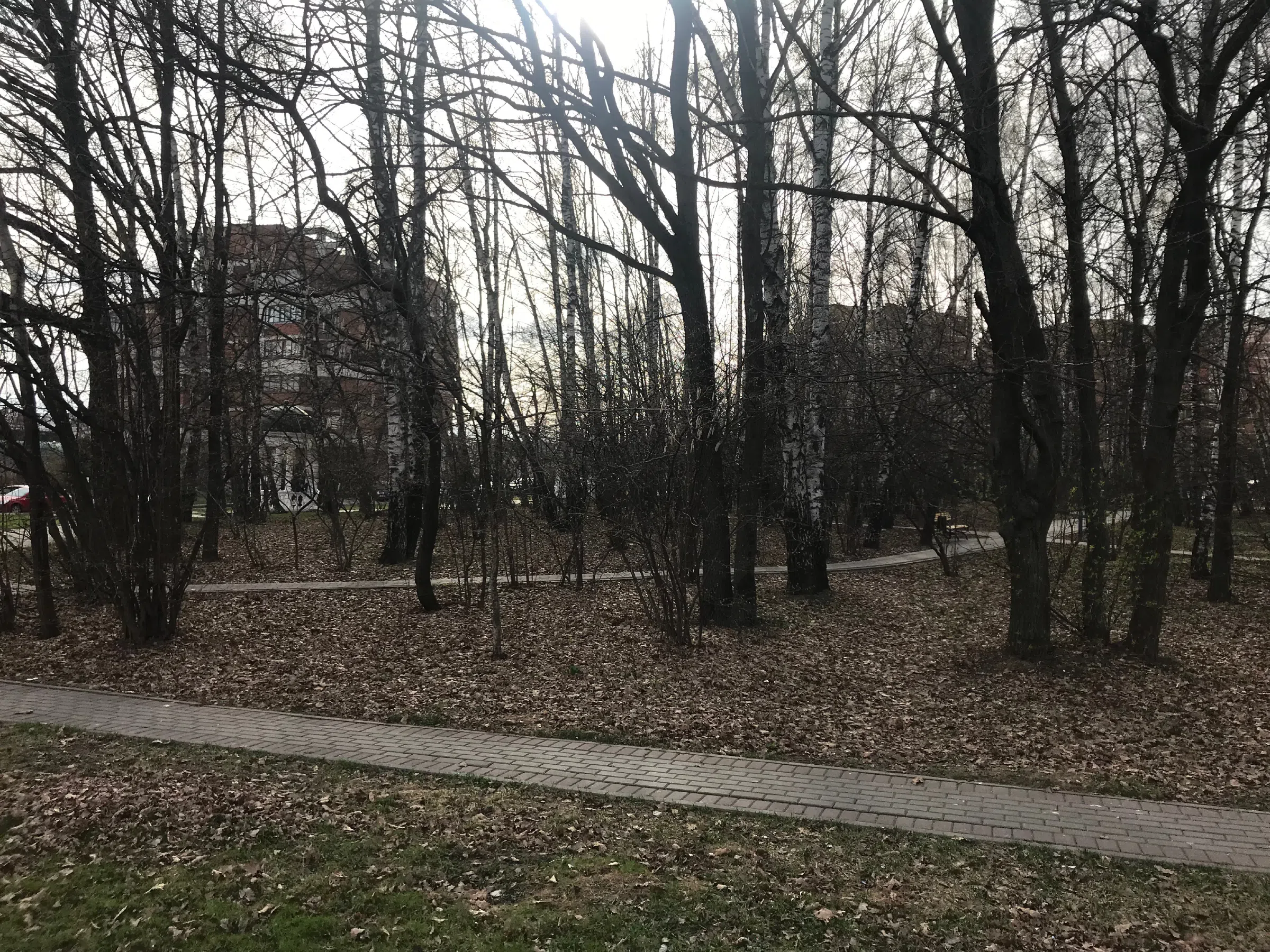 Квартира с эркером и лесом, фото 22