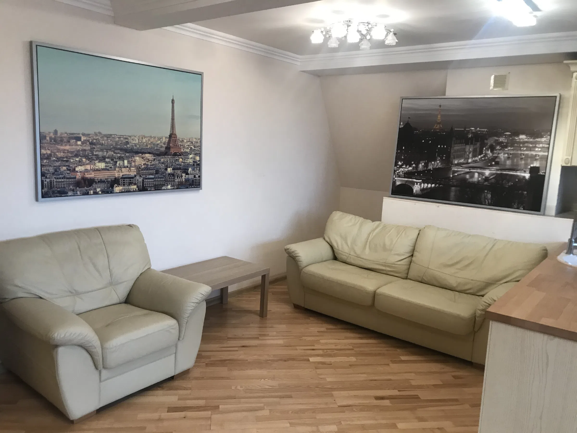 Квартира с мансардным окном, фото 15