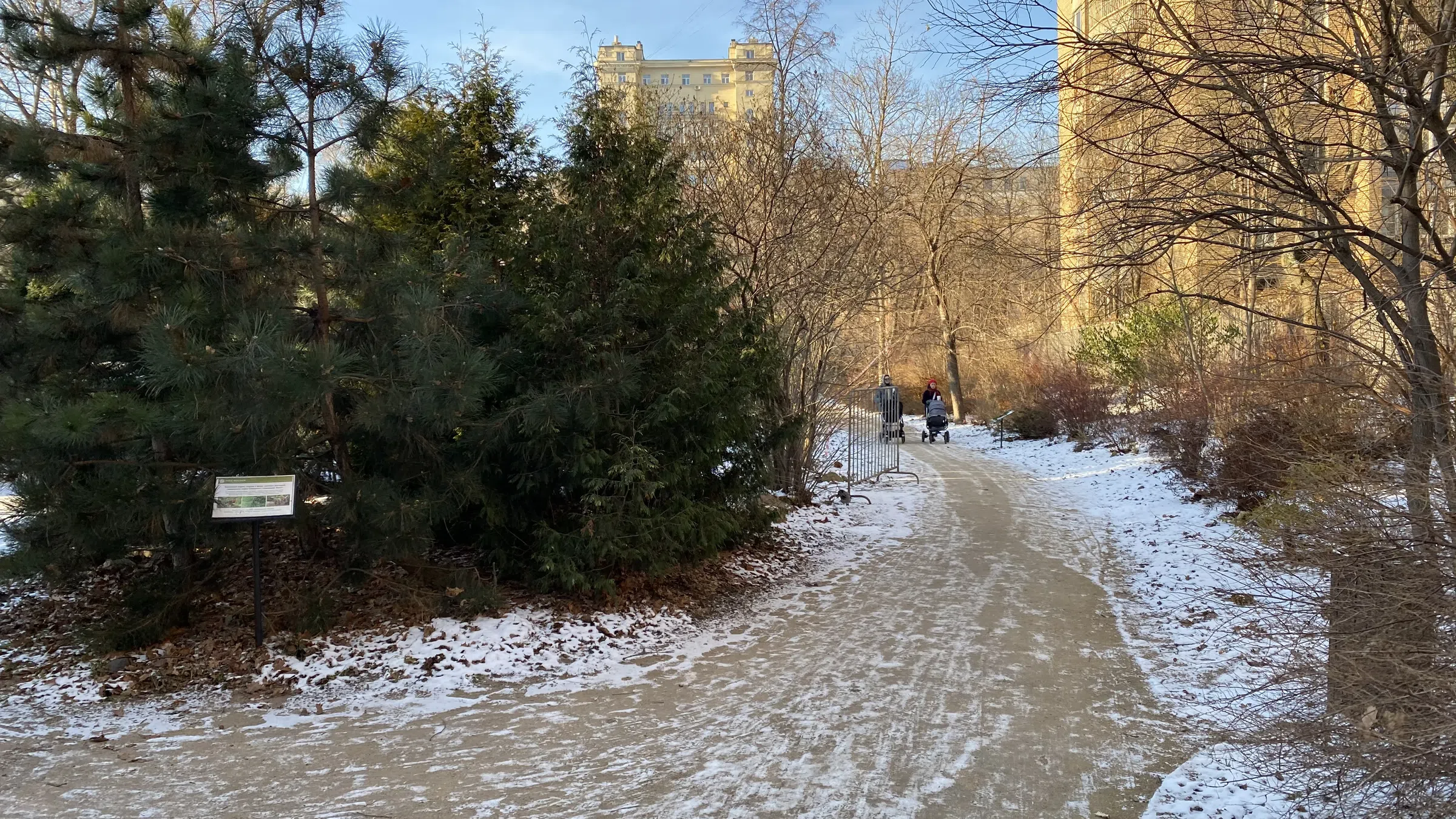 Зимний парк с хвойными, фото 21
