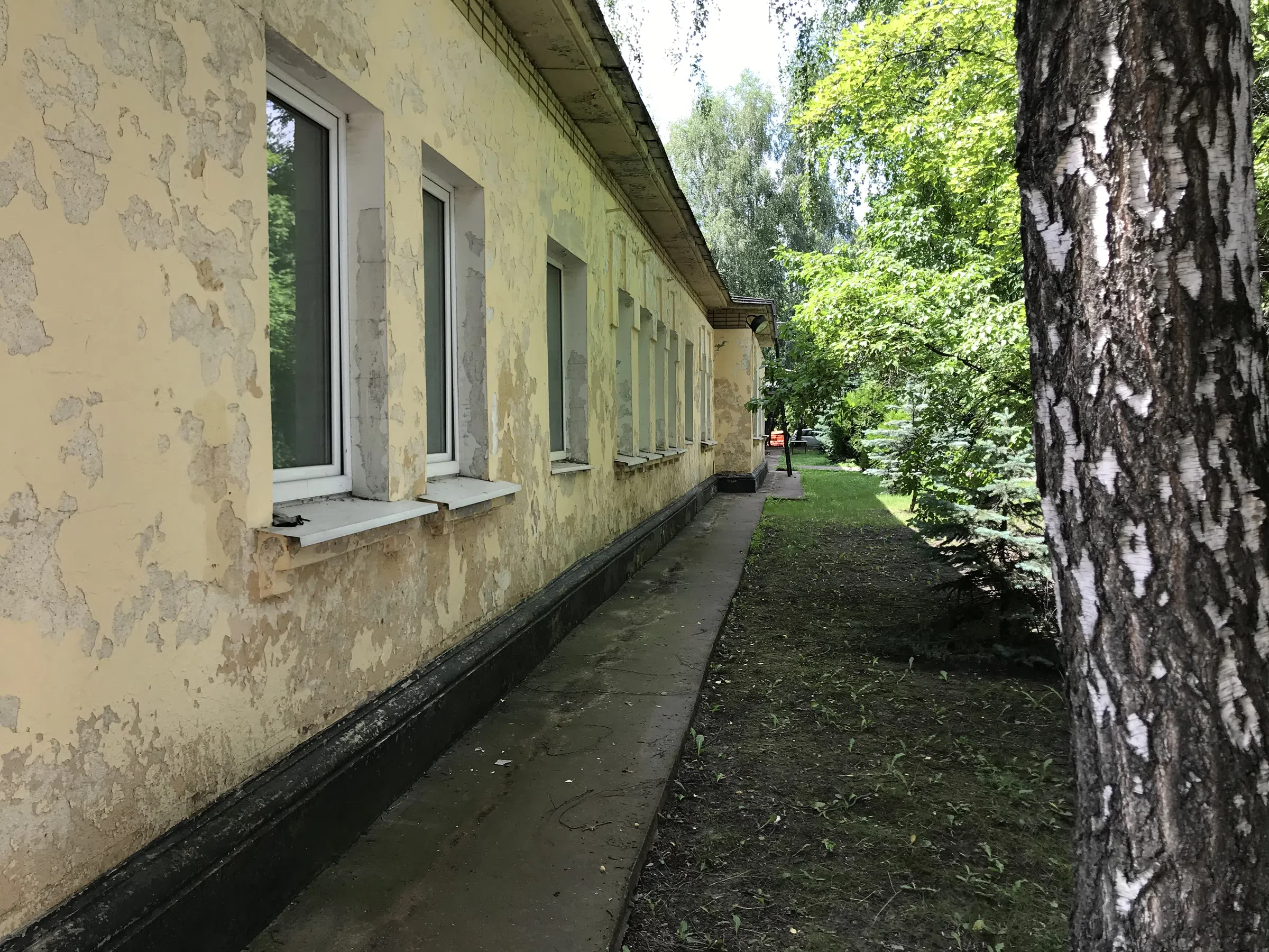 Кирпичный офис среди деревьев, фото 22