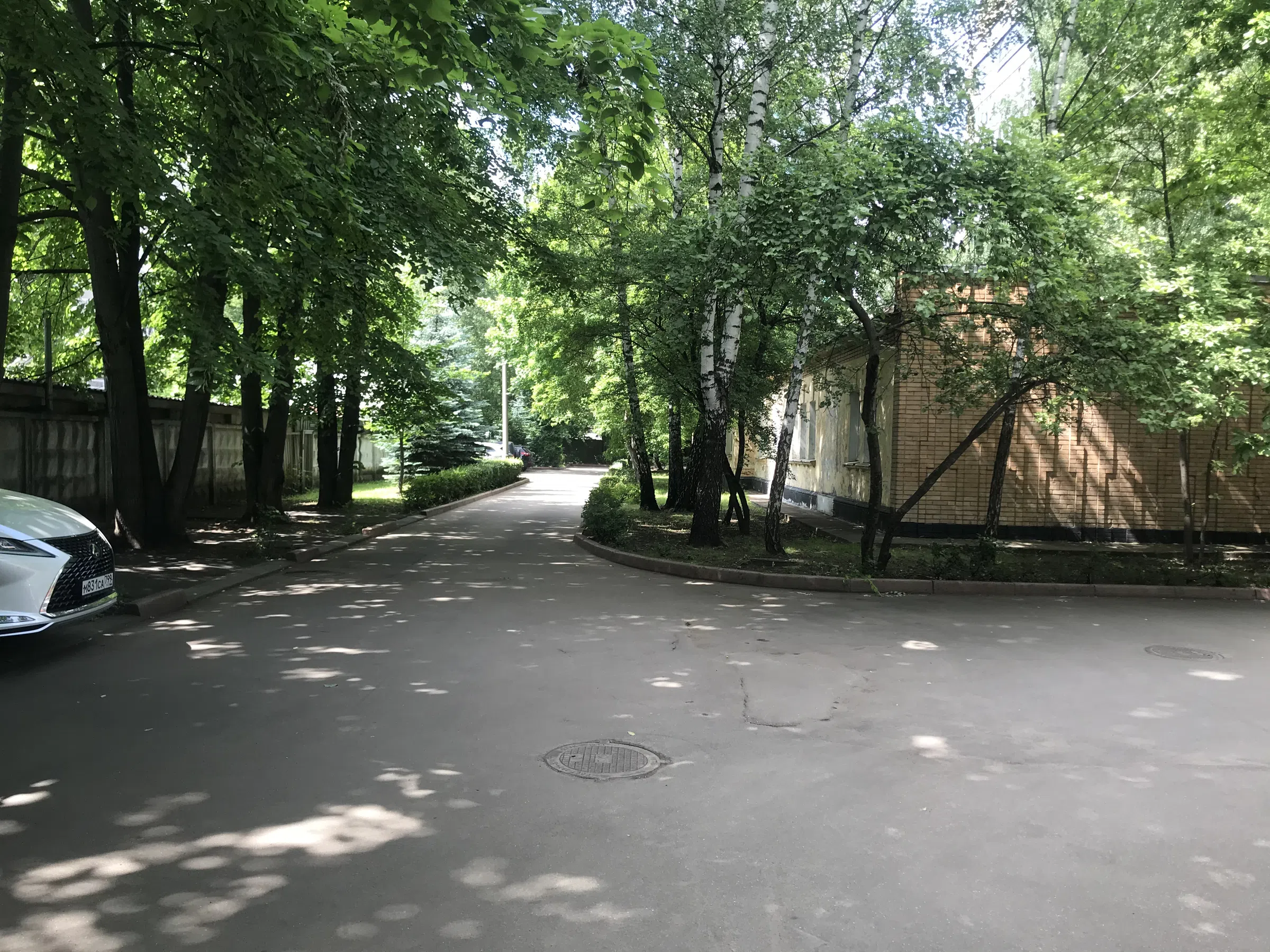 Кирпичный офис среди деревьев, фото 1