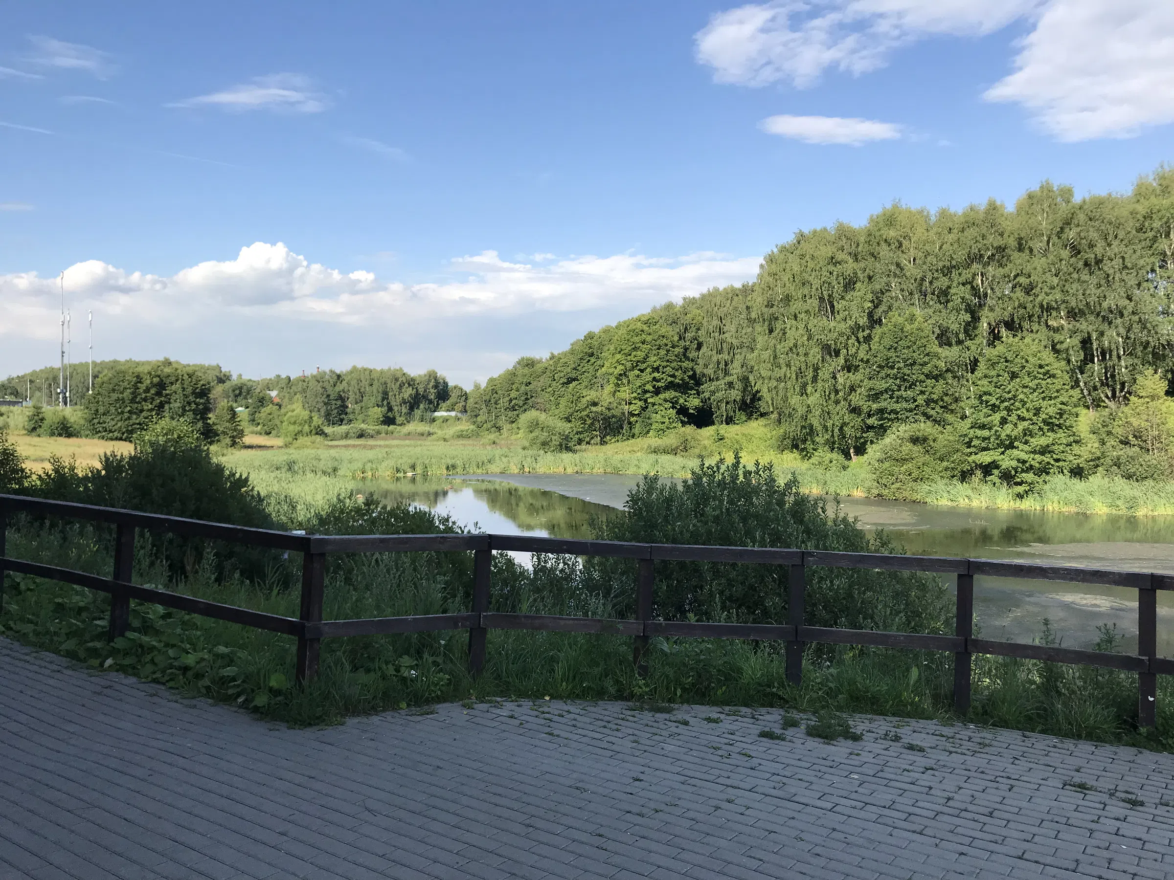 Березовая аллея у воды, фото 23