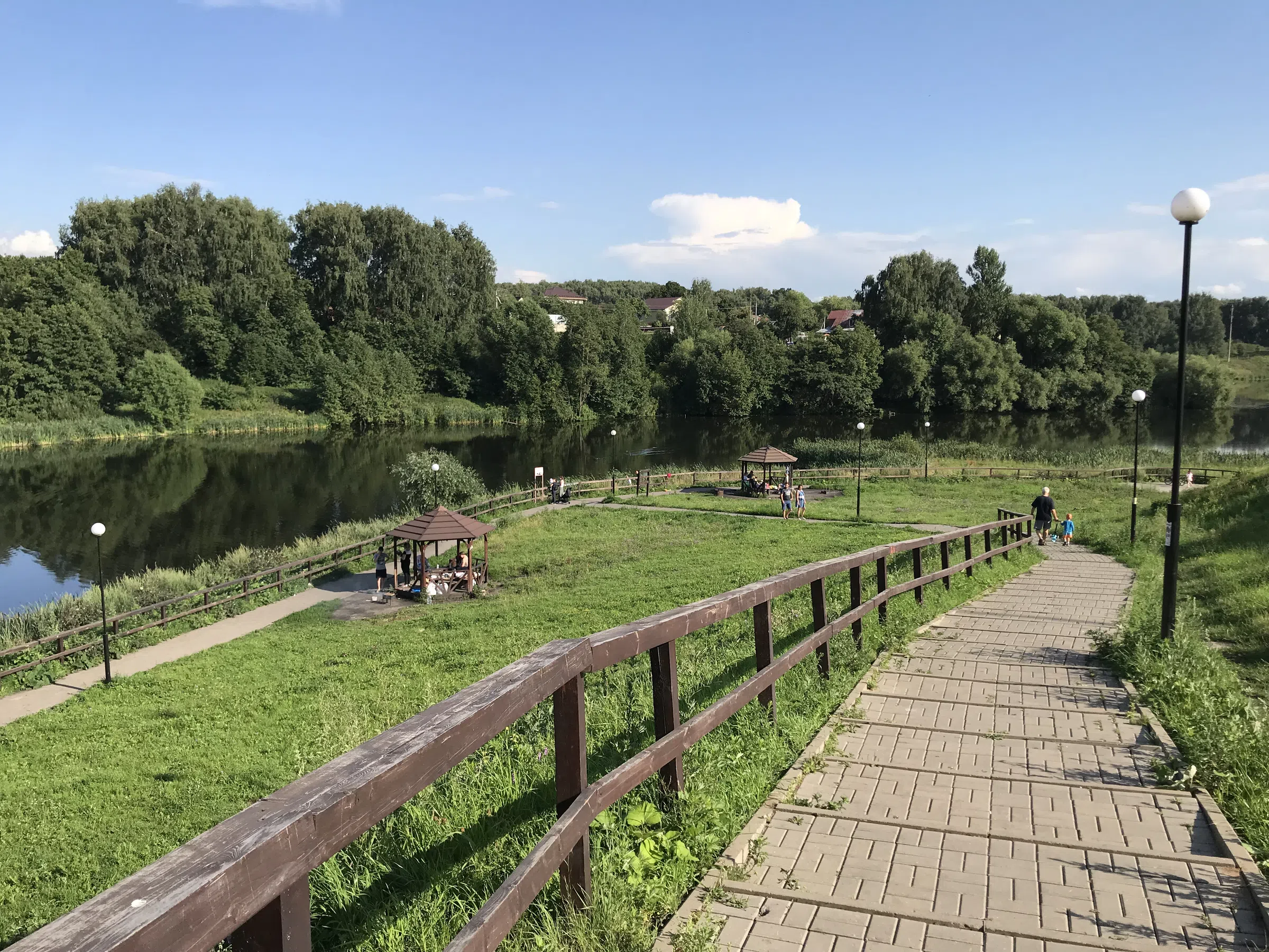 Березовая аллея у воды, фото 4