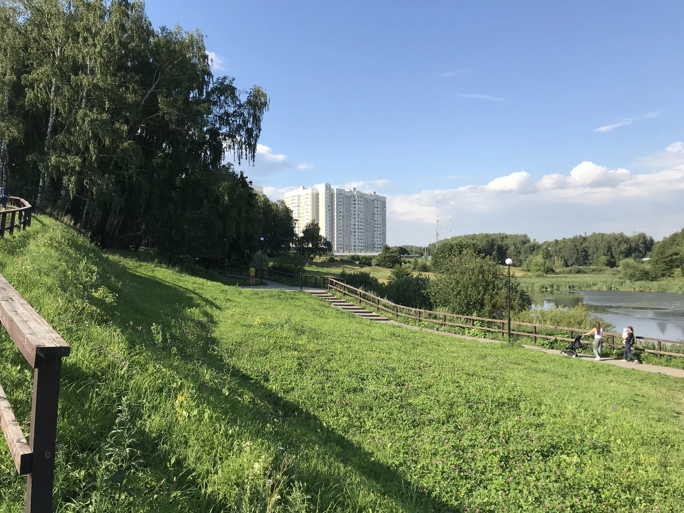 Березовая аллея у воды, фото 11