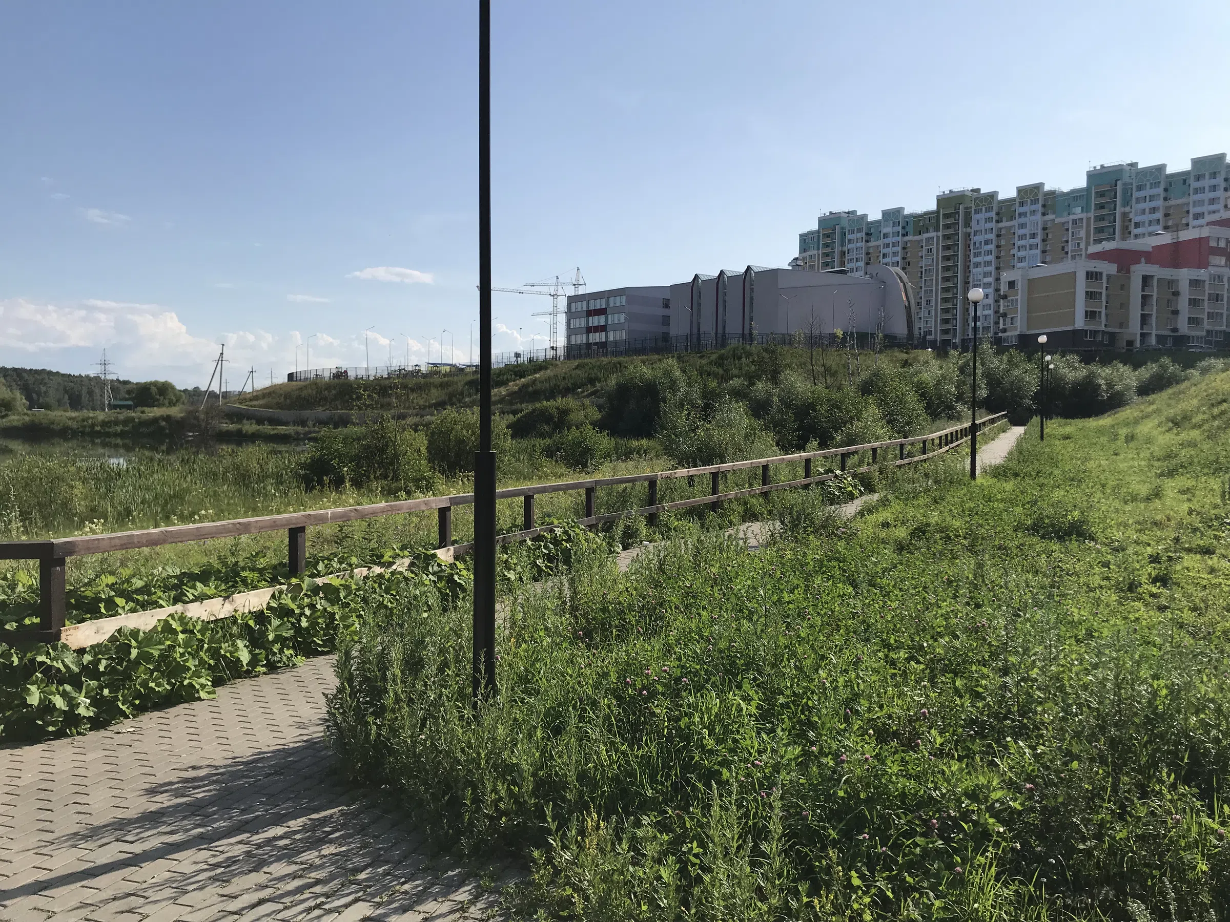 Березовая аллея у воды, фото 19