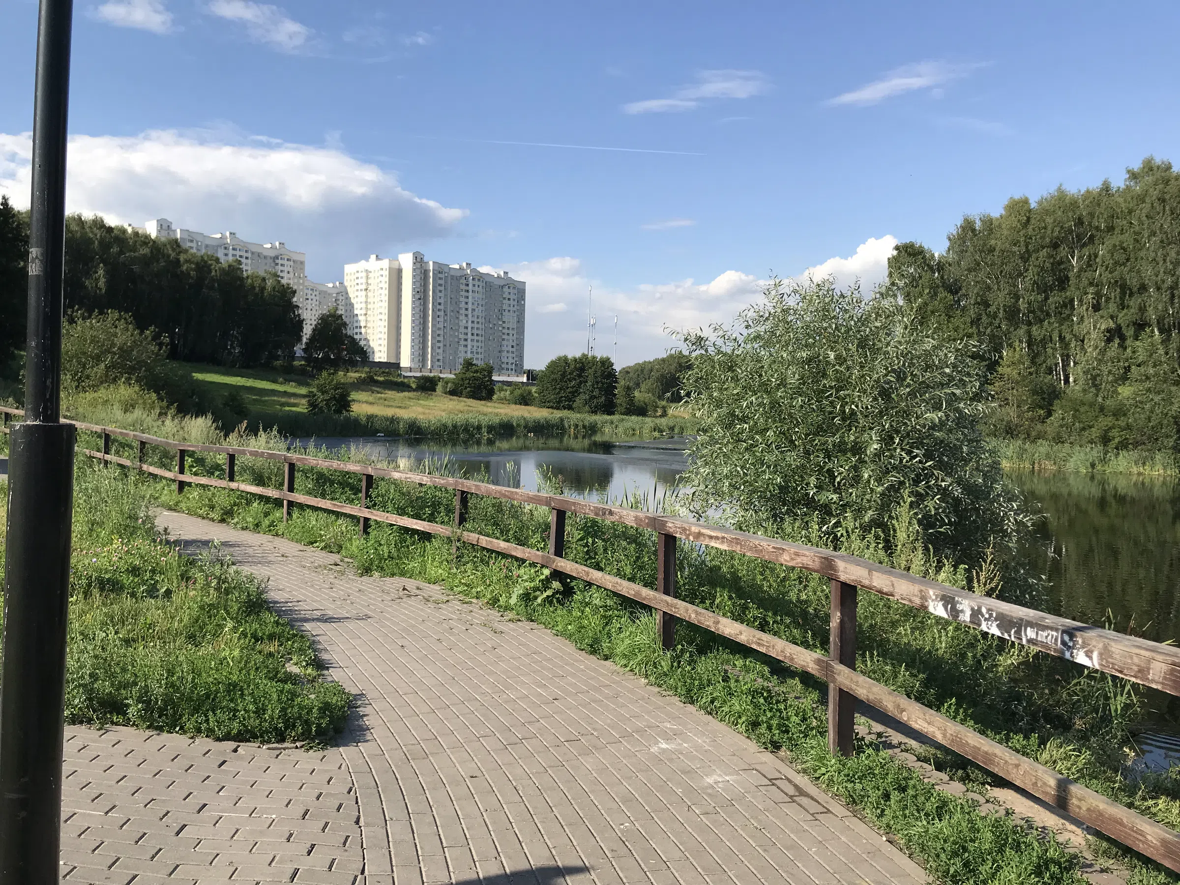 Березовая аллея у воды, фото 21