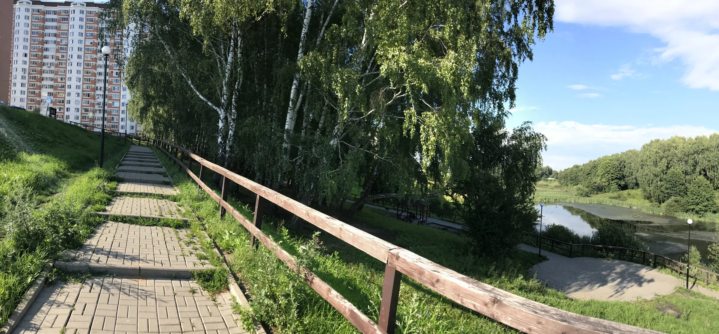 Березовая аллея у воды, фото 7