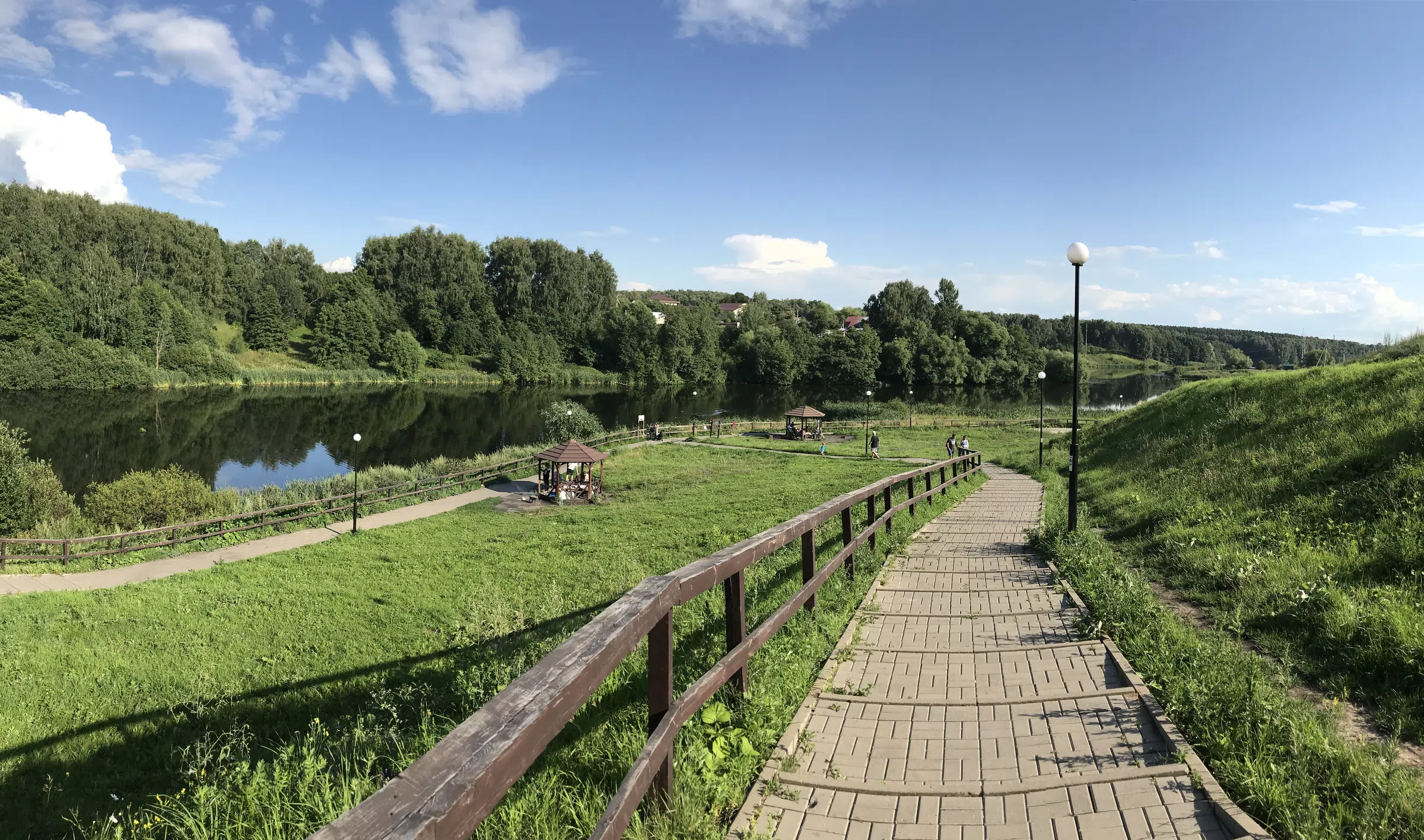 Березовая аллея у воды, фото 6