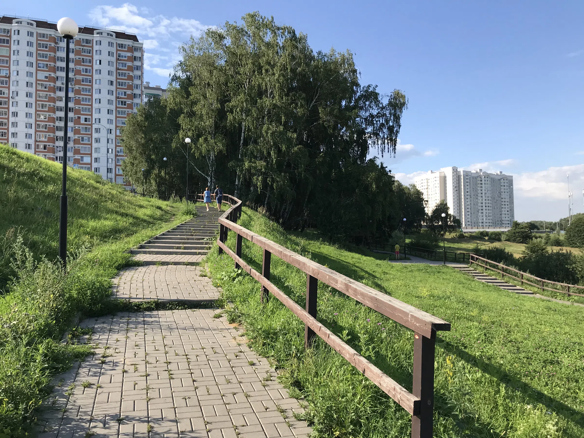 Березовая аллея у воды, фото 9