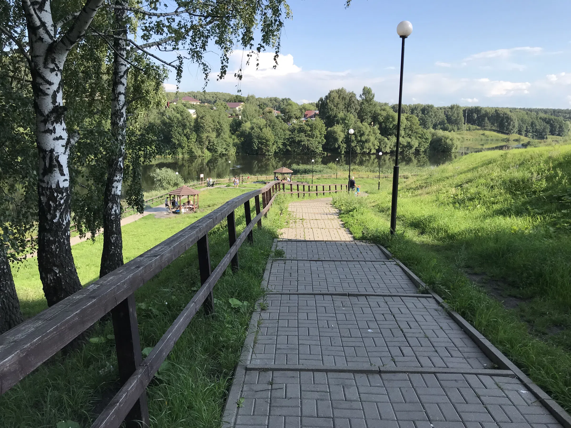 Березовая аллея у воды, фото 3