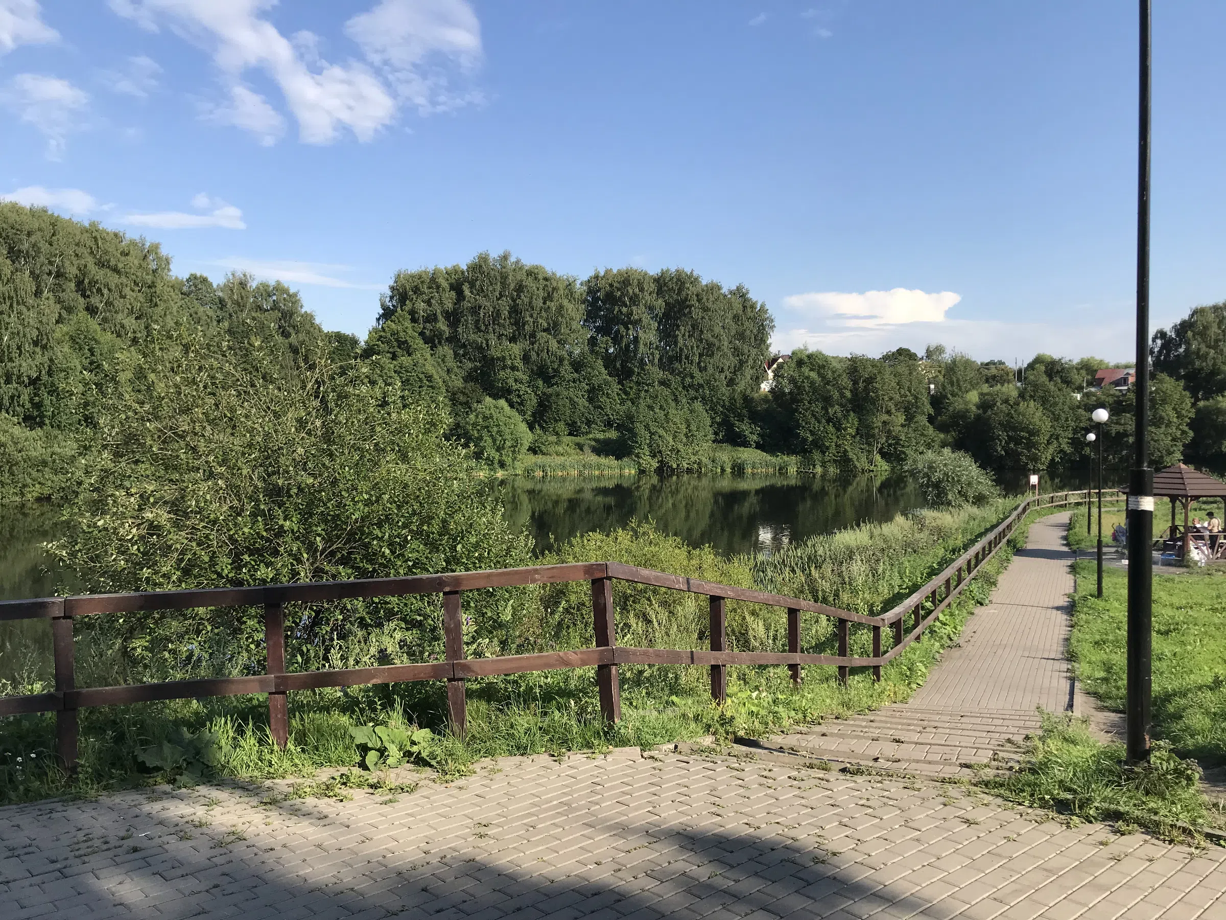 Березовая аллея у воды, фото 24
