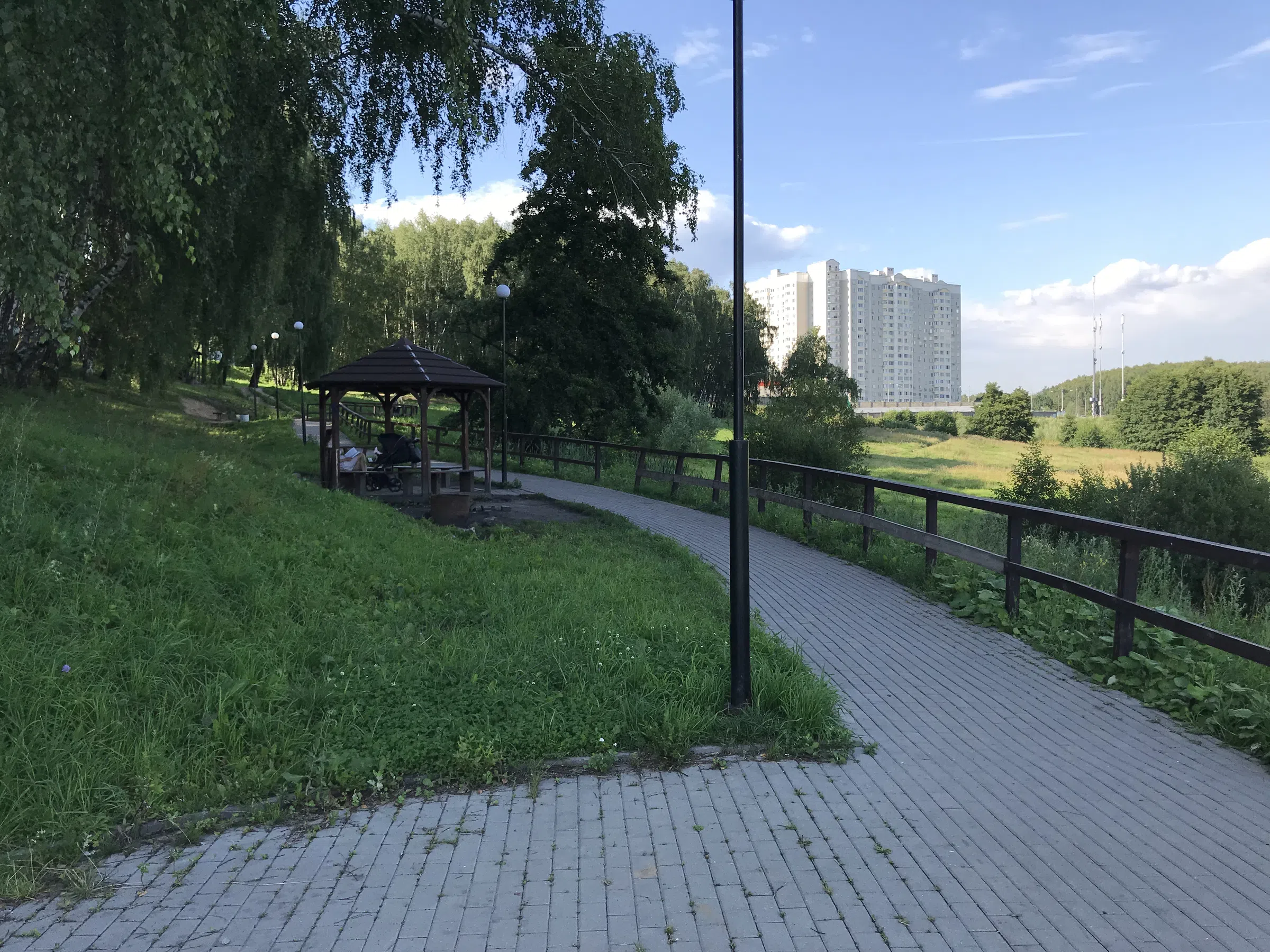 Березовая аллея у воды, фото 22