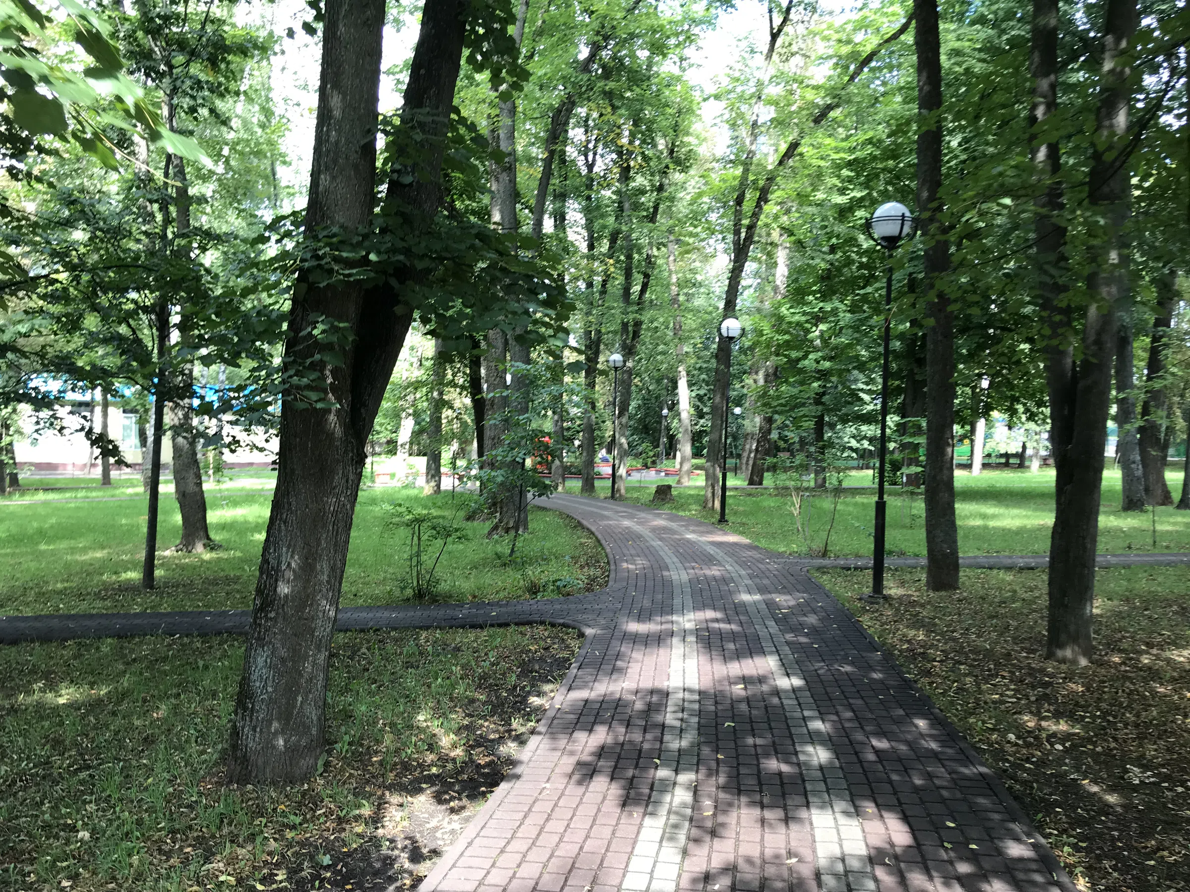 Парк с аттракционами и колесом, фото 24