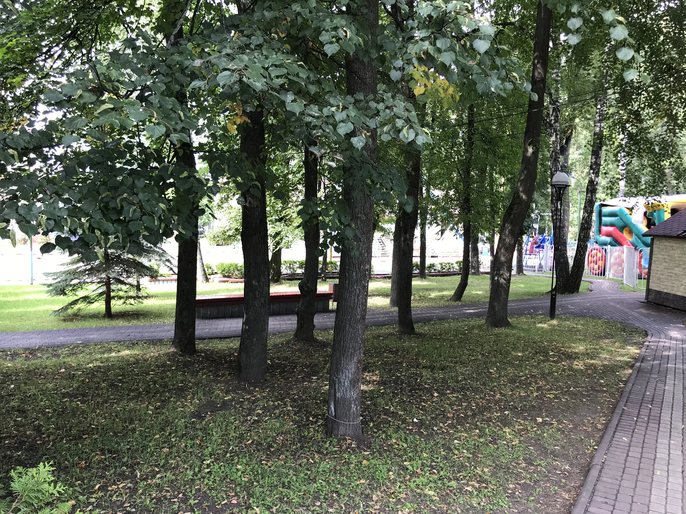 Парк с аттракционами и колесом, фото 16
