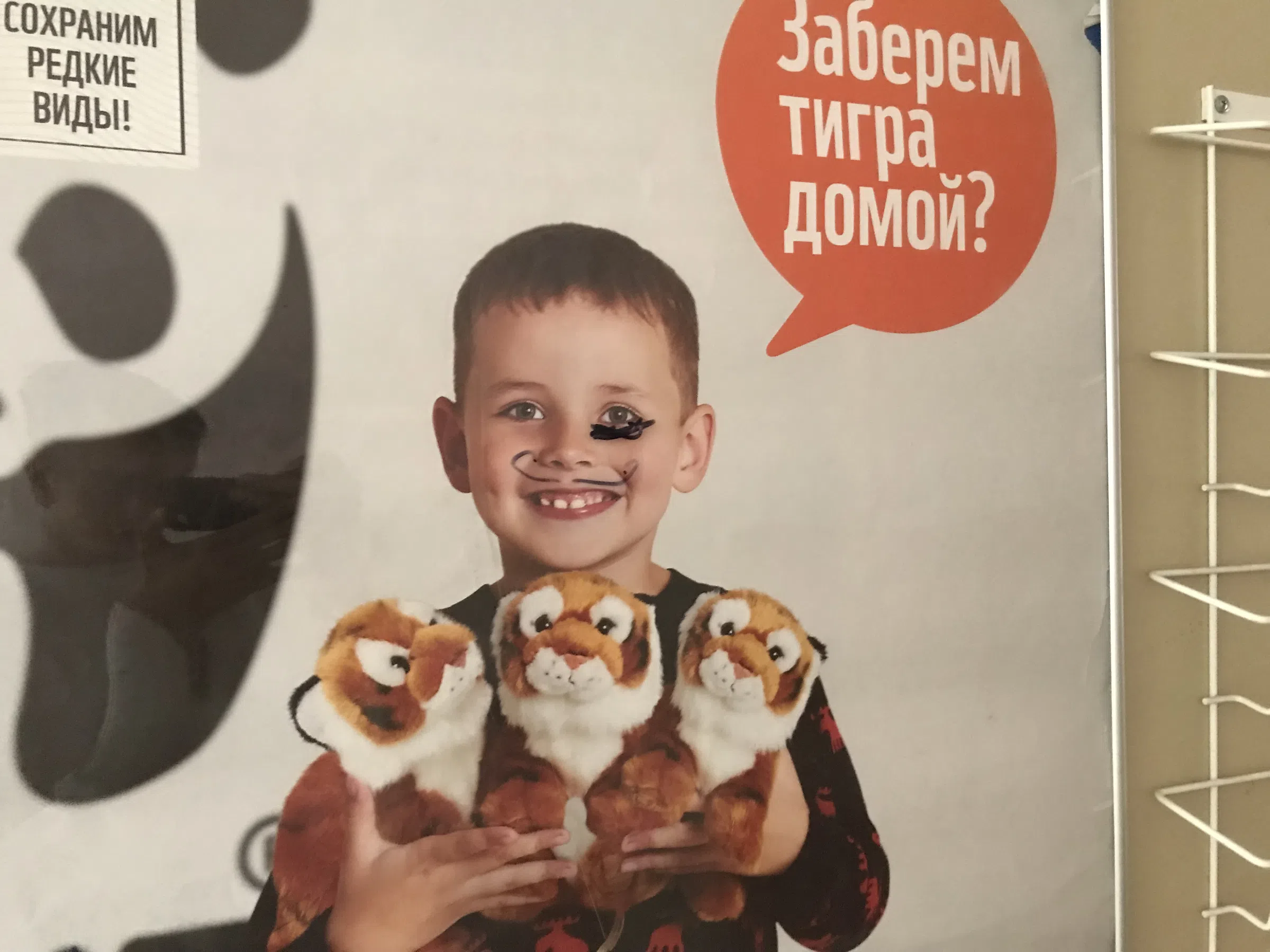Школа пастельная плитка, фото 12