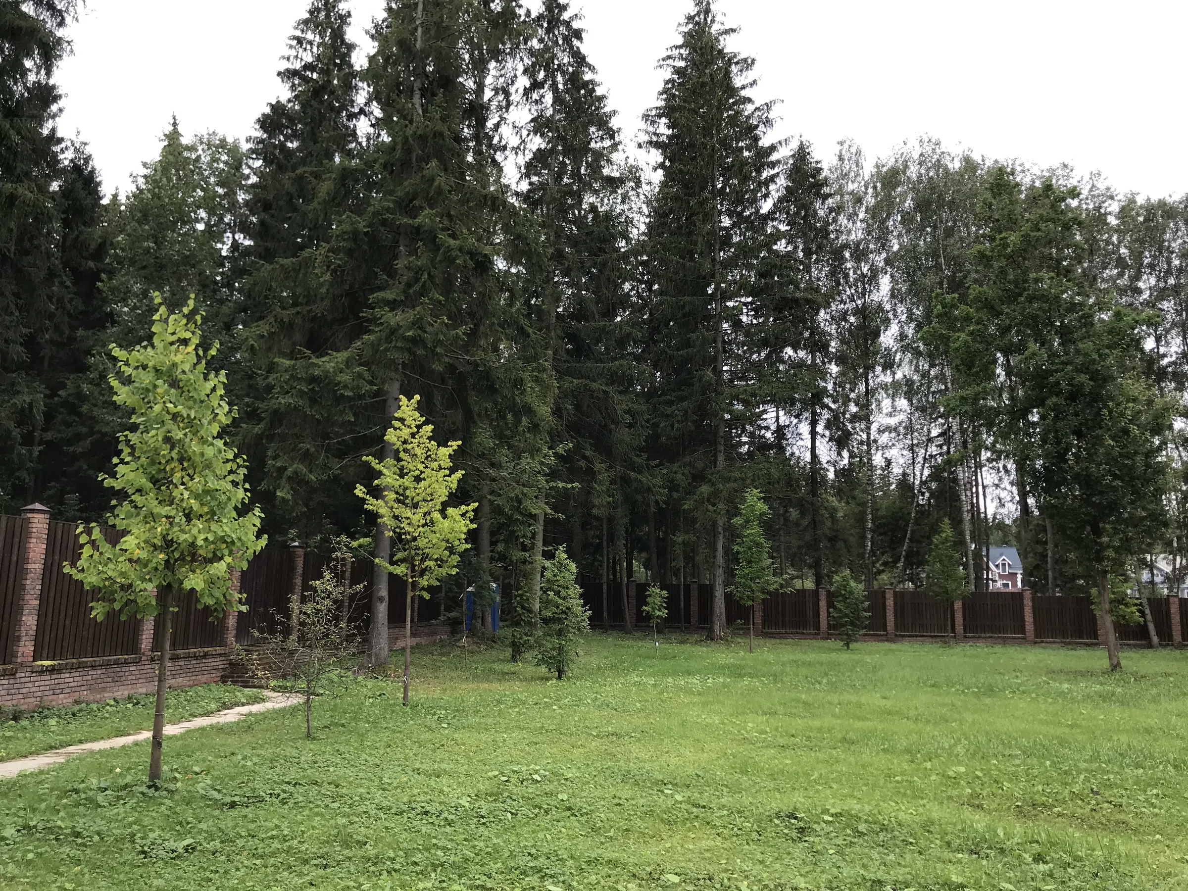 Кирпичный дом на опушке, фото 21