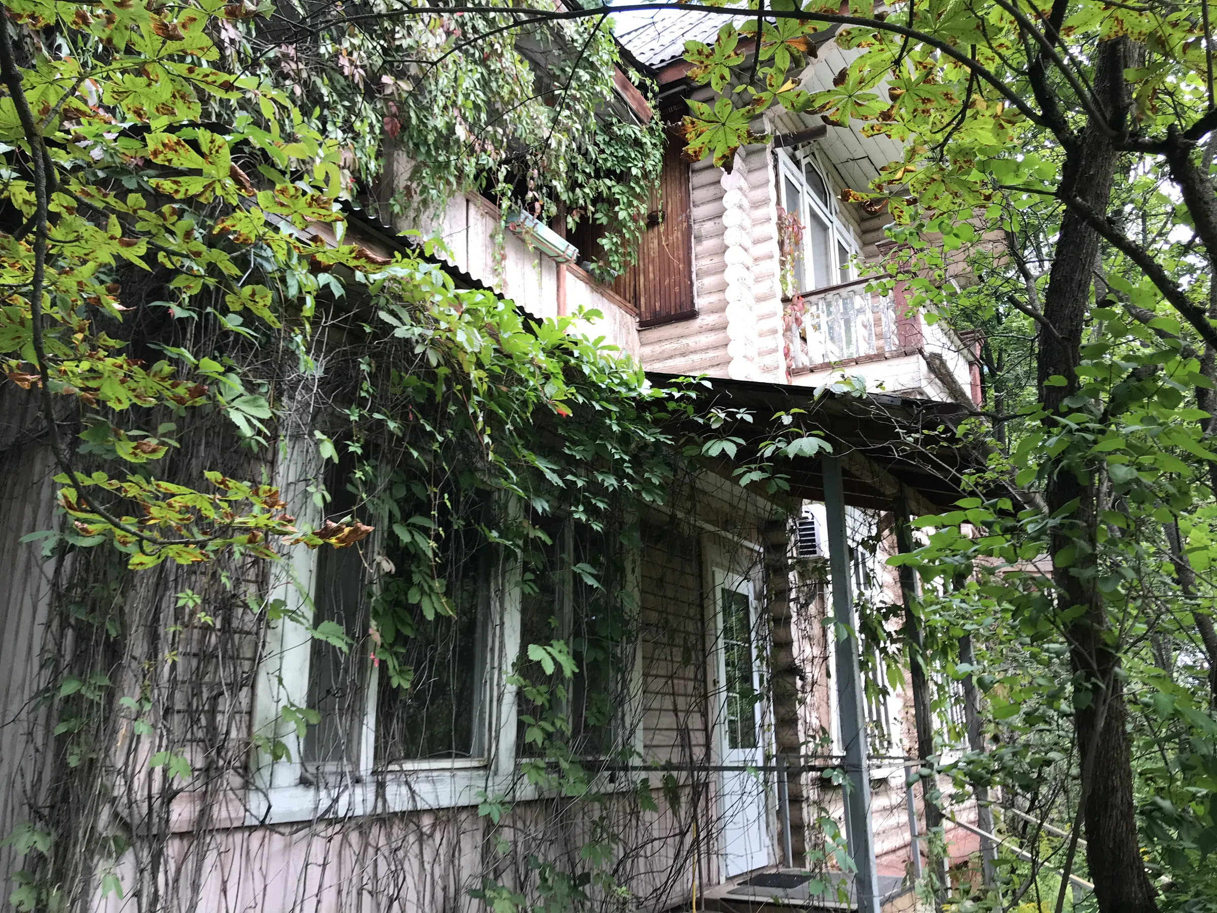 Дача Плетеная лоза, фото 7