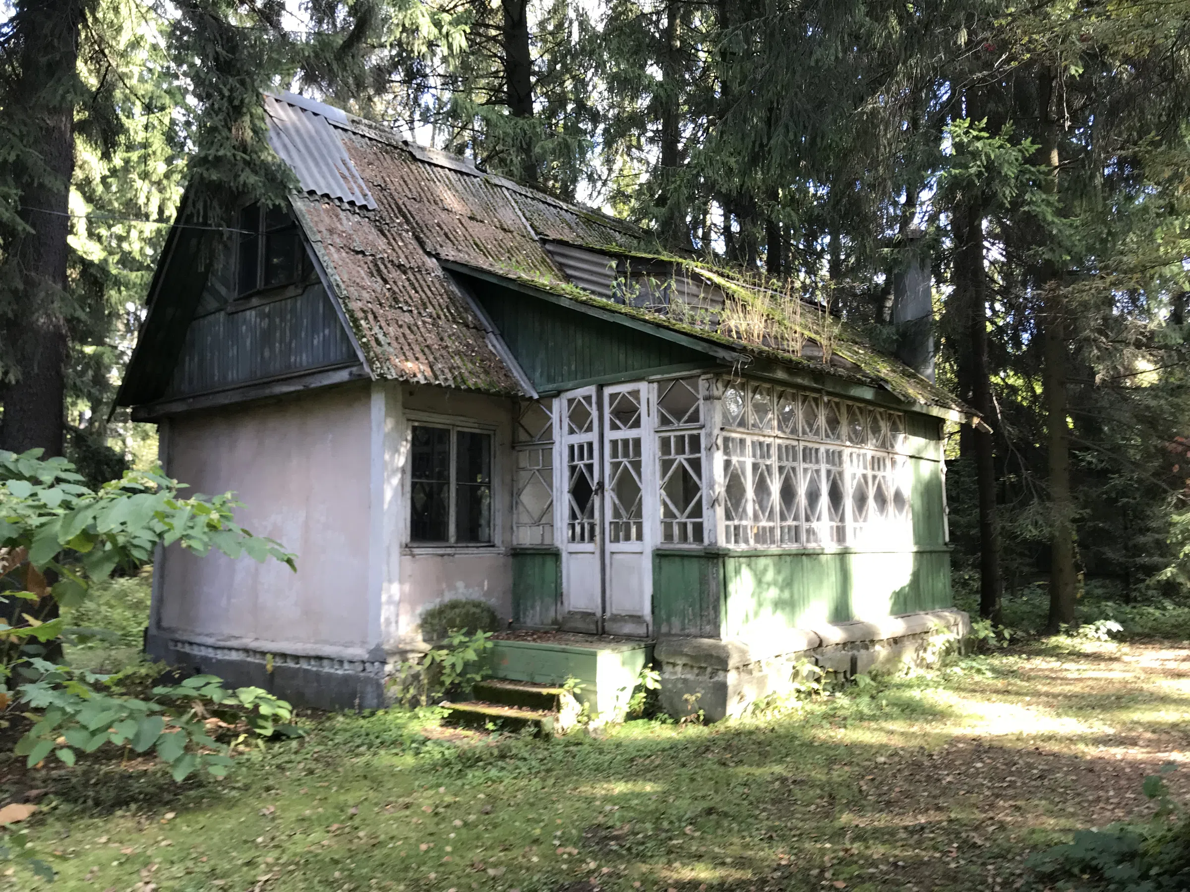 Дача Плющ и Сосны, фото 10