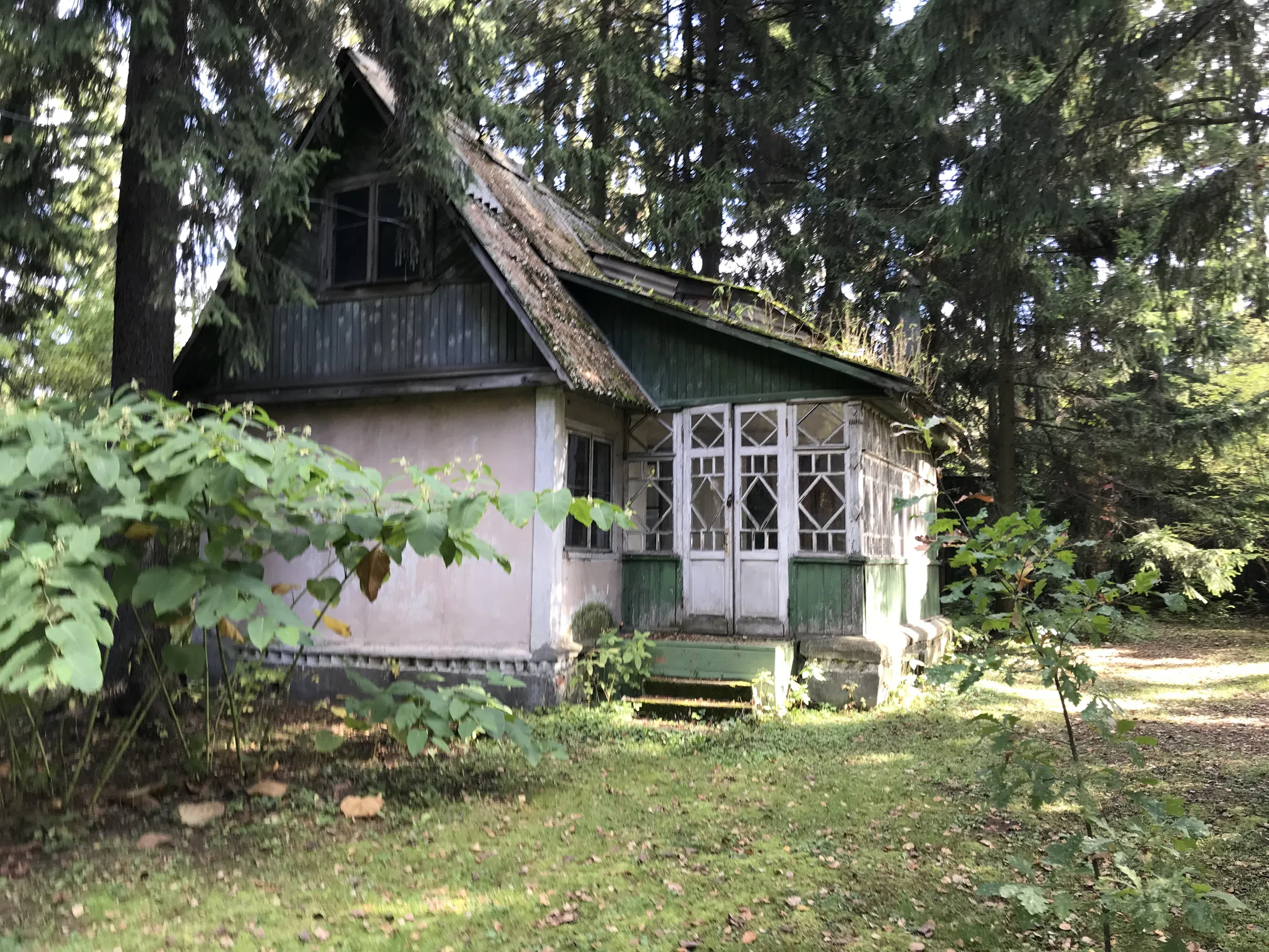 Дача Плющ и Сосны, фото 9