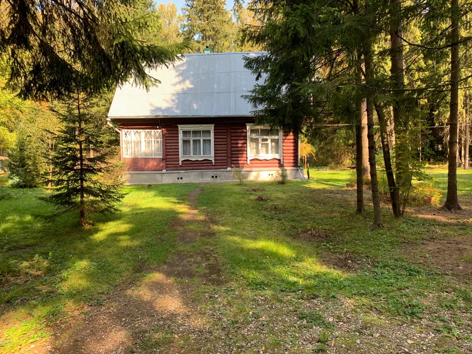 Резная дача в елях, фото 1