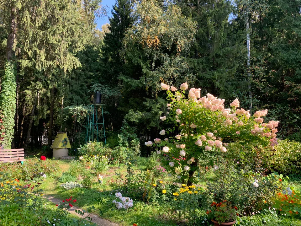Резная дача в елях, фото 10