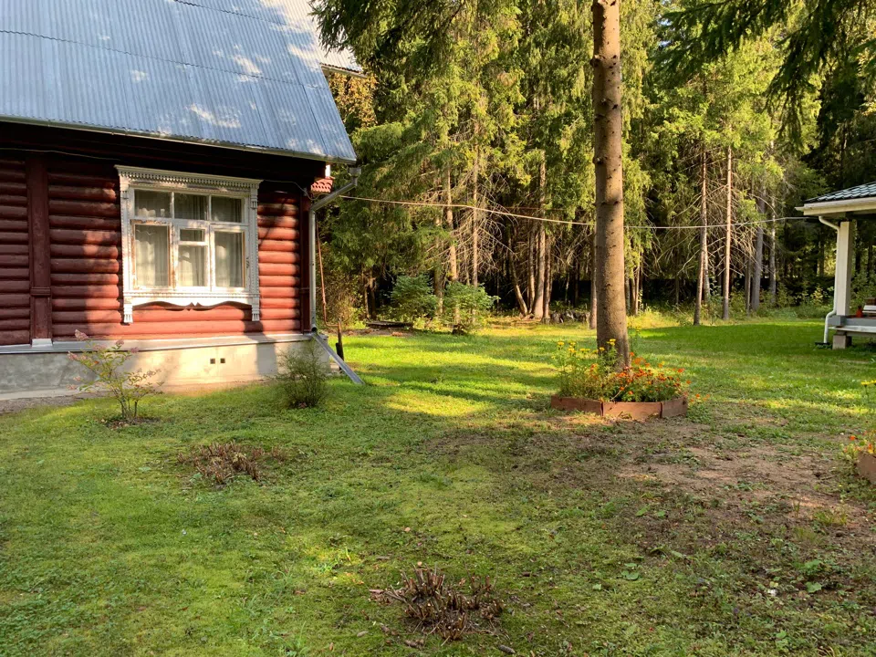 Резная дача в елях, фото 4