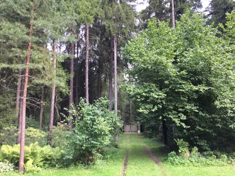 Дача с верандой и гортензиями, фото 1