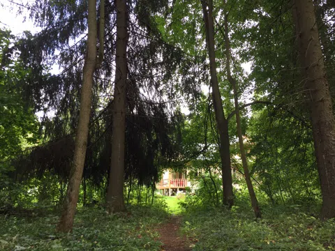 Дача с верандой и гортензиями, фото 17
