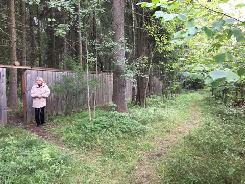 Дача с верандой и гортензиями, фото 19