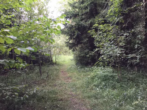 Дача с верандой и гортензиями, фото 20