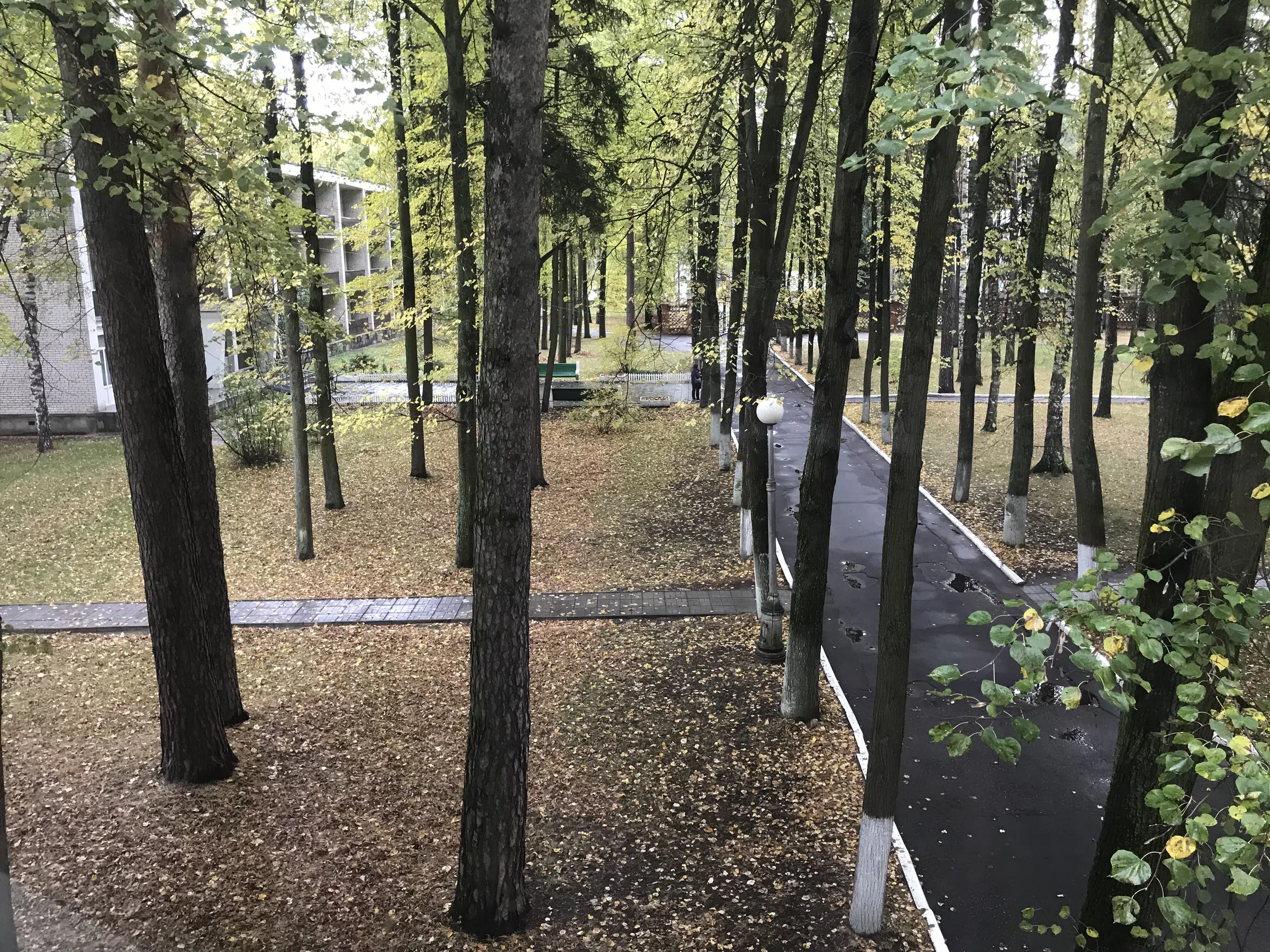 Парк с санаторием, фото 14