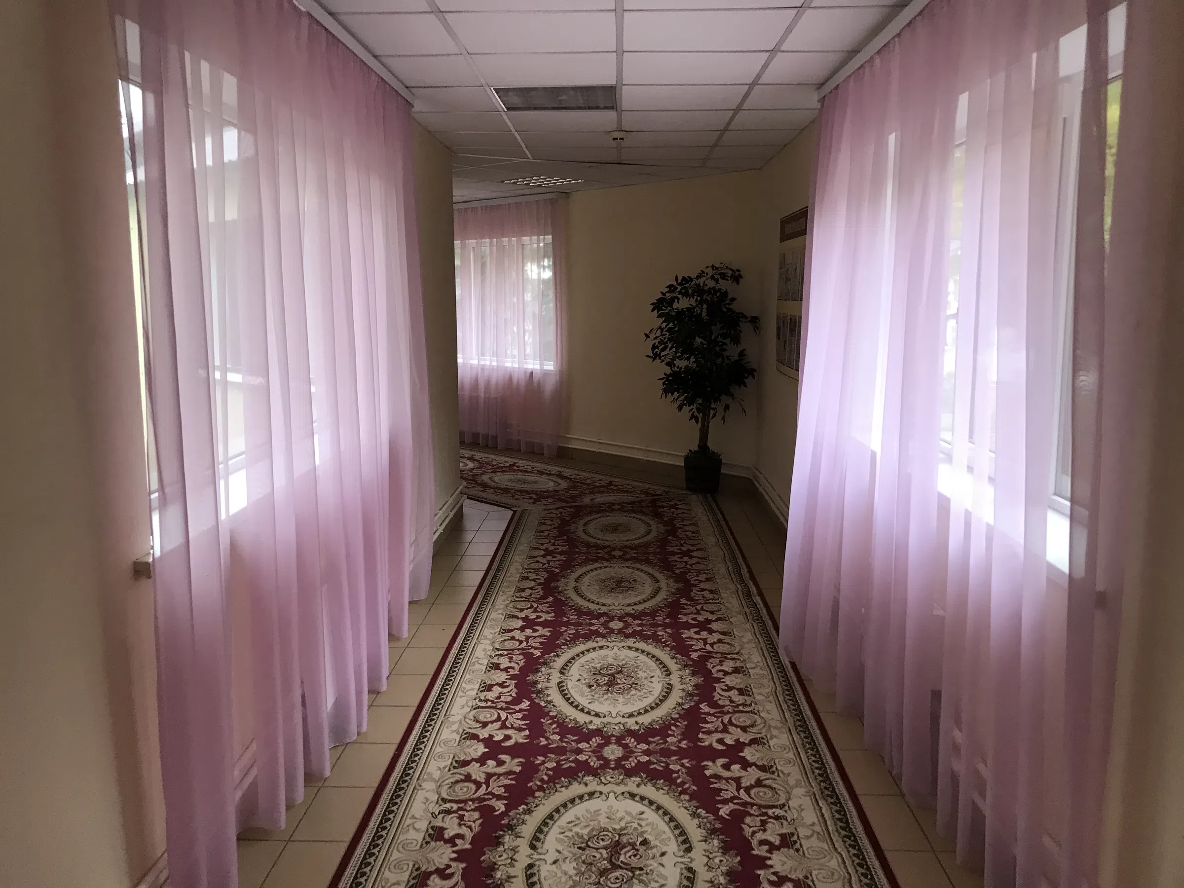 Парк с санаторием, фото 13