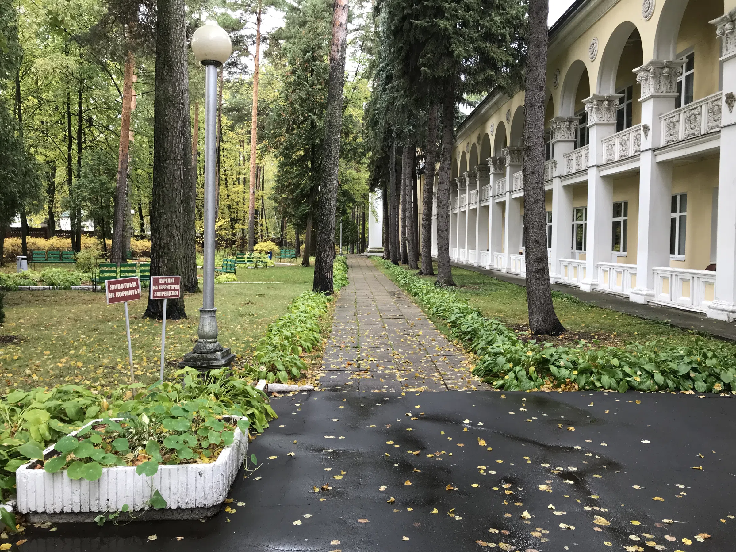 Парк с санаторием, фото 4