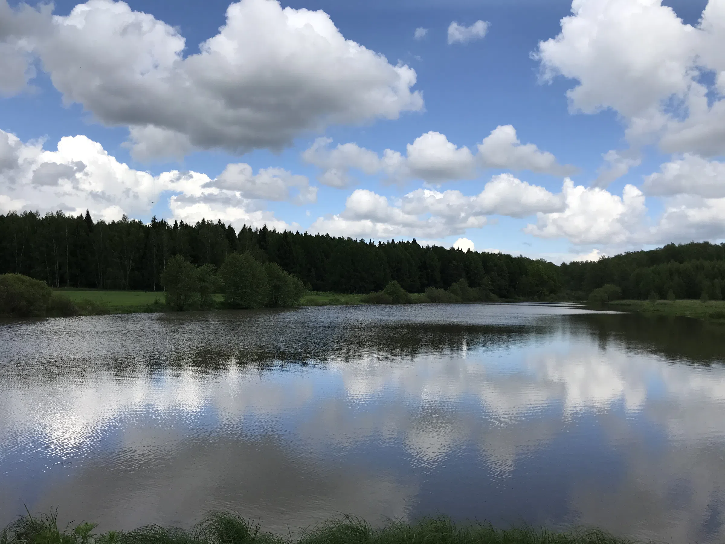 Шоссе среди полей, фото 19