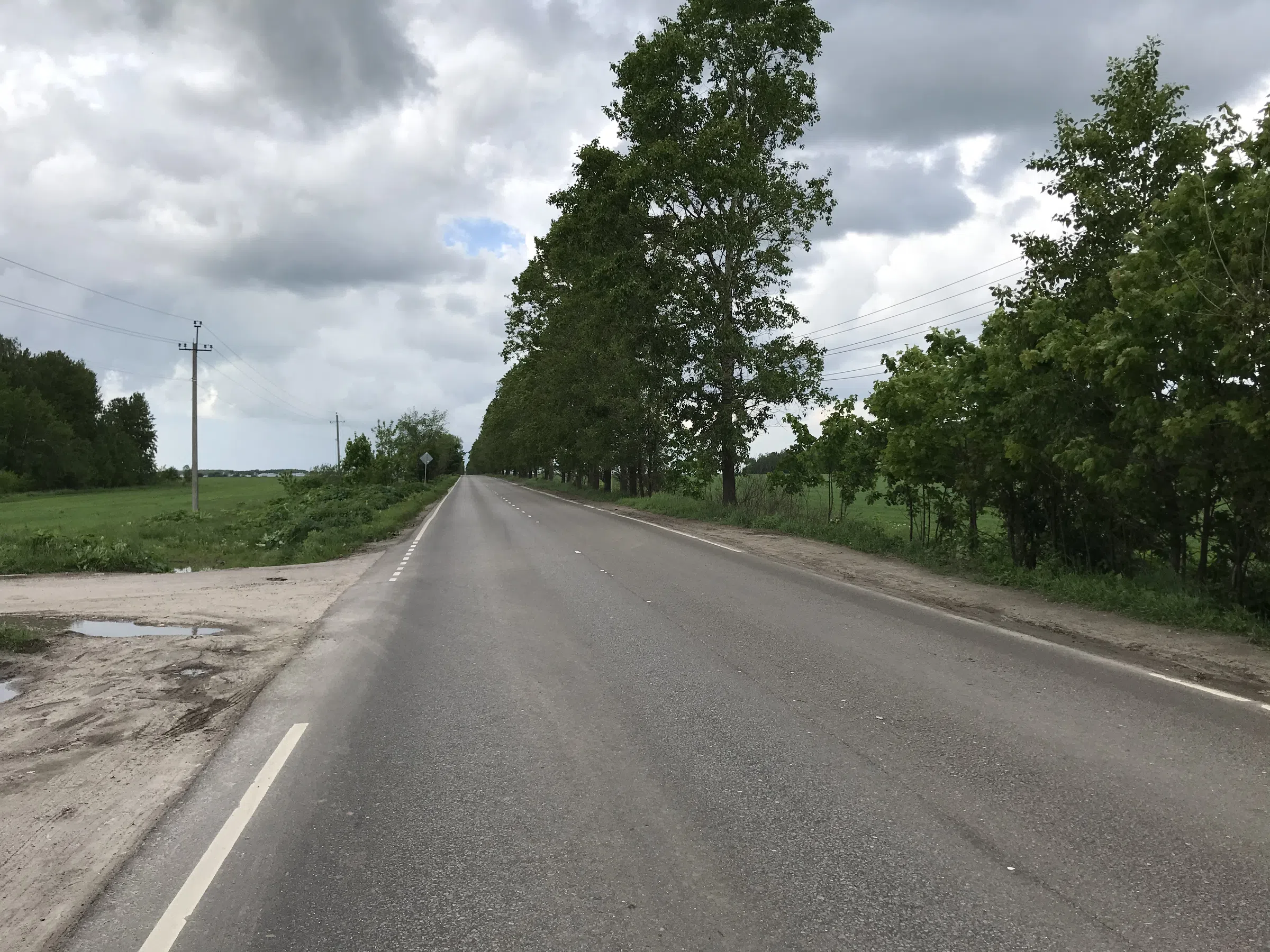Шоссе среди полей, фото 7